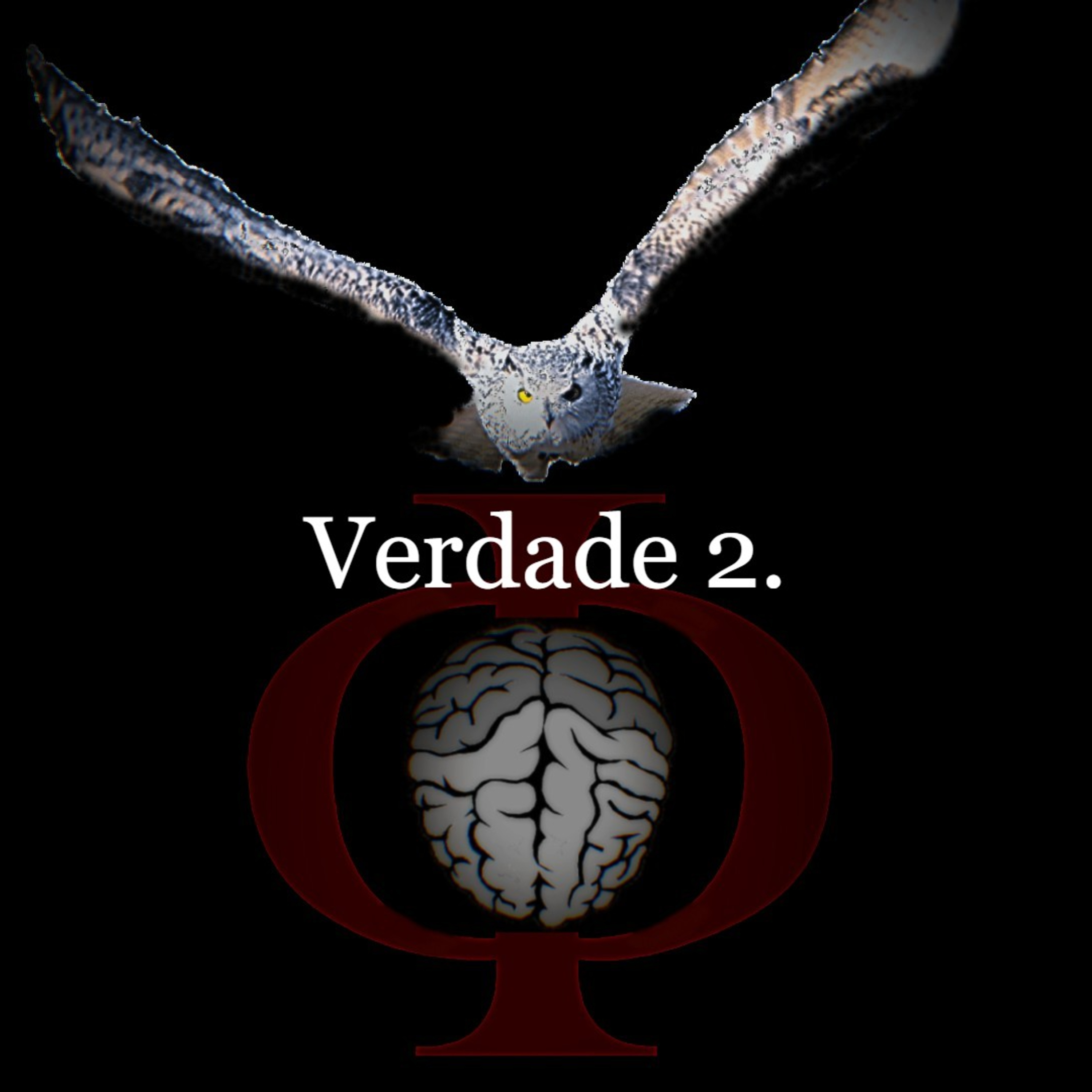 Das provocações à razão