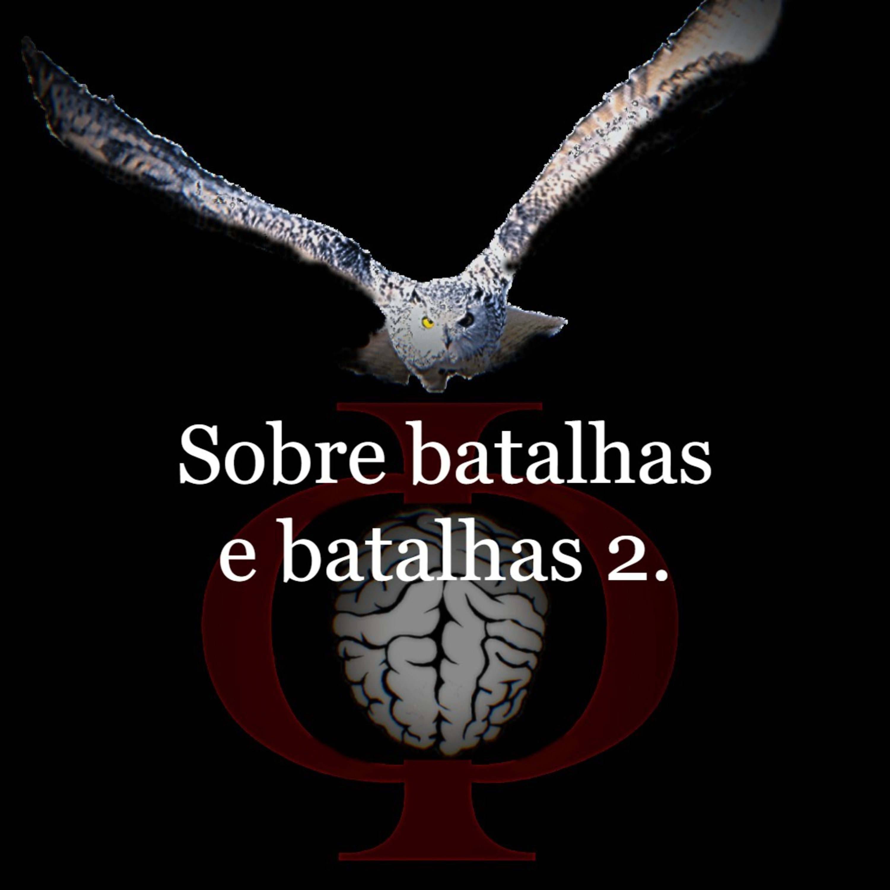 Das provocações à razão