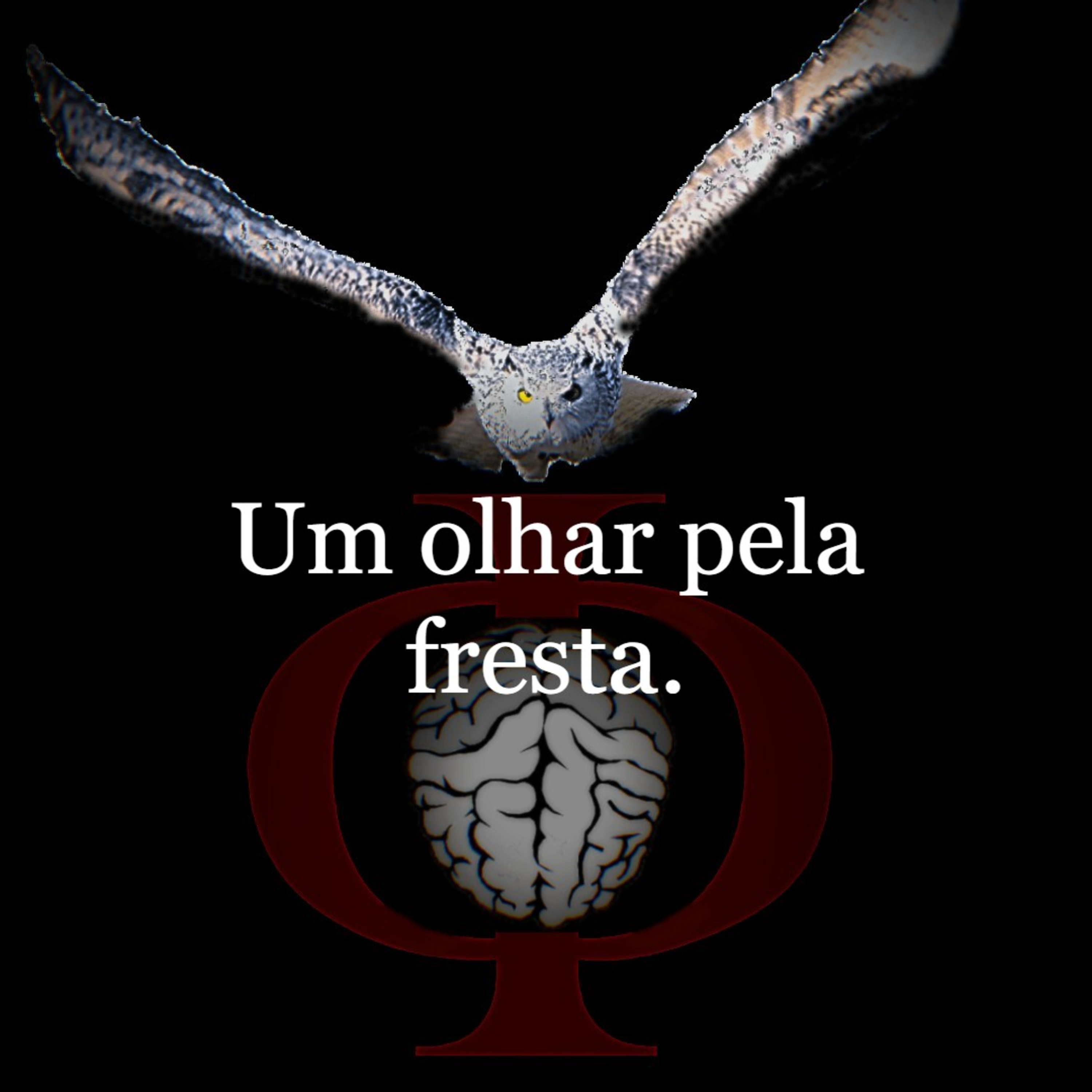 Das provocações à razão
