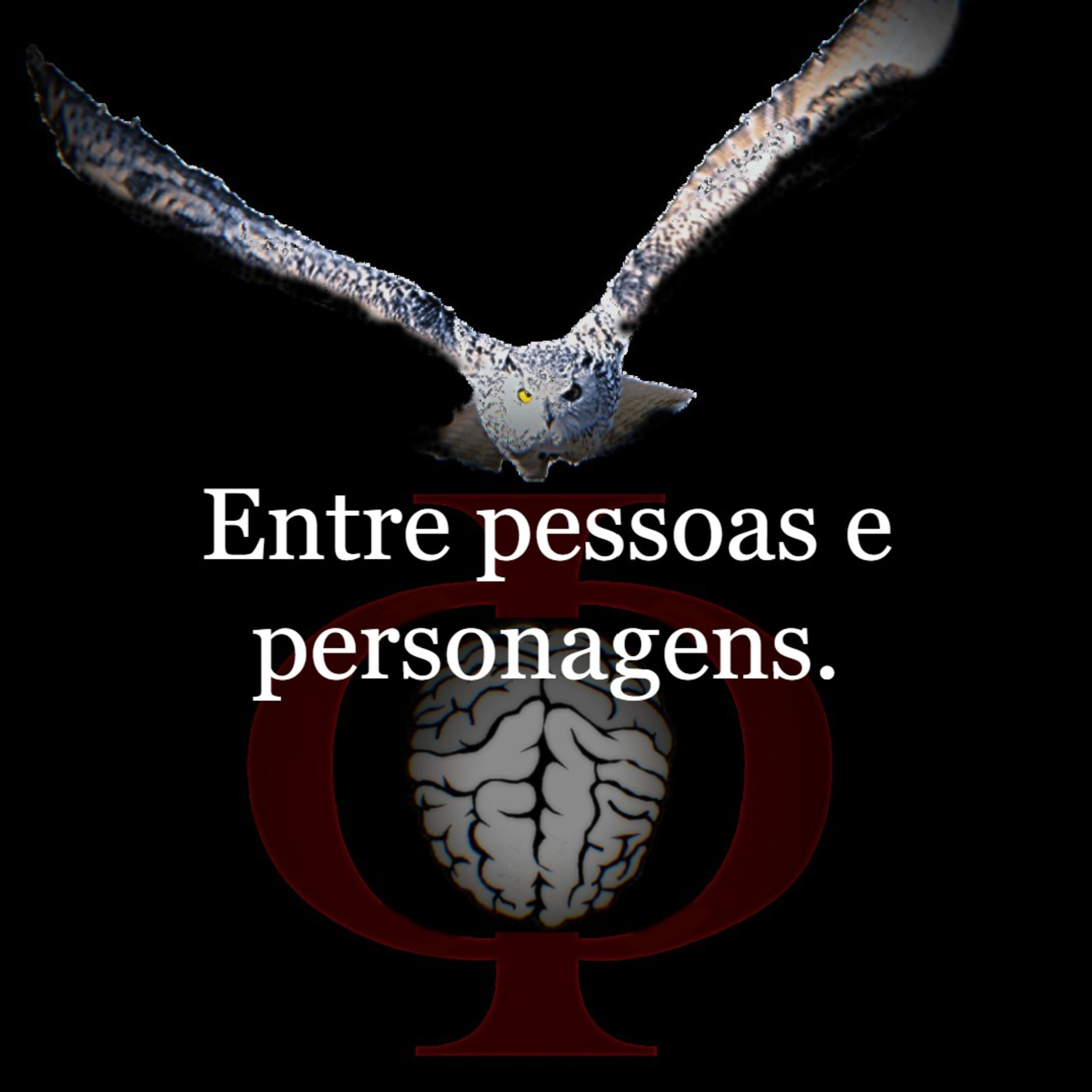 Das provocações à razão