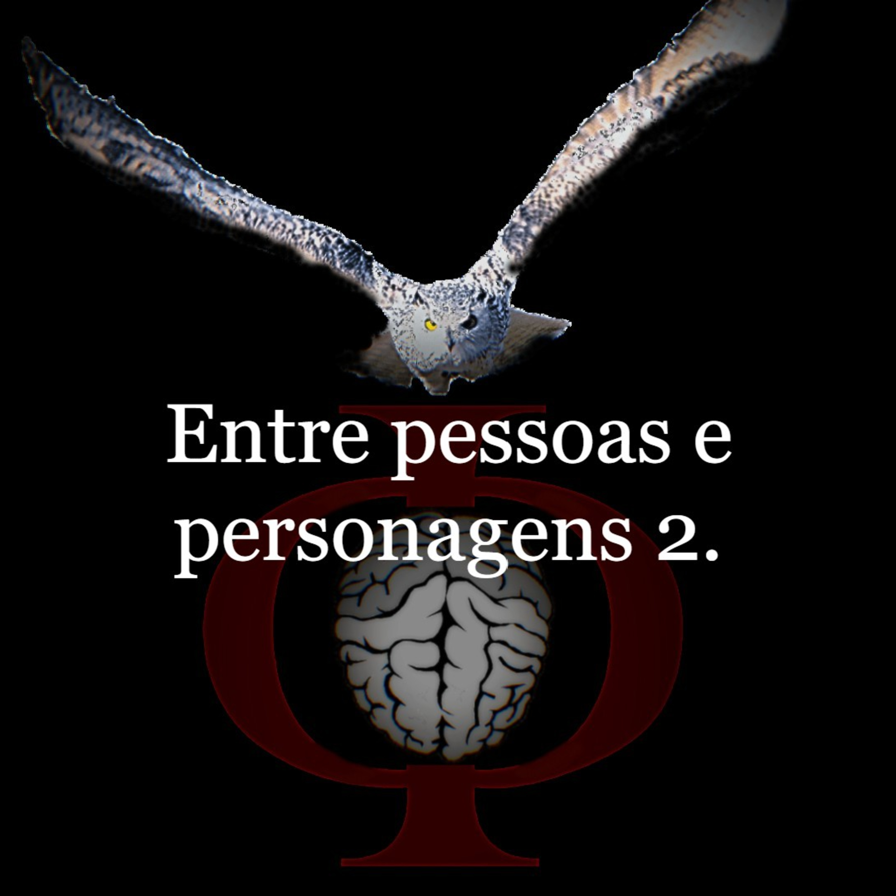 Das provocações à razão