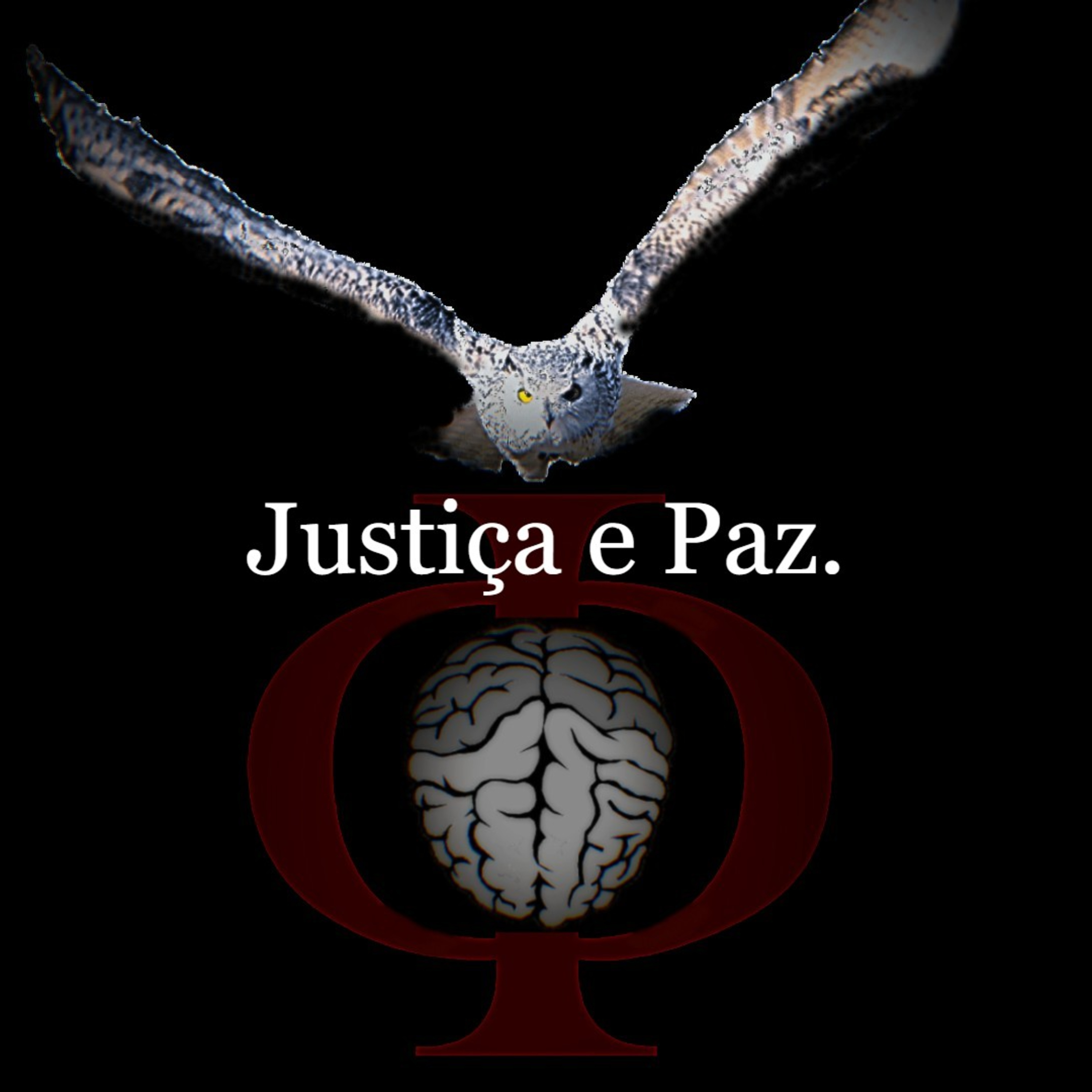 Das provocações à razão