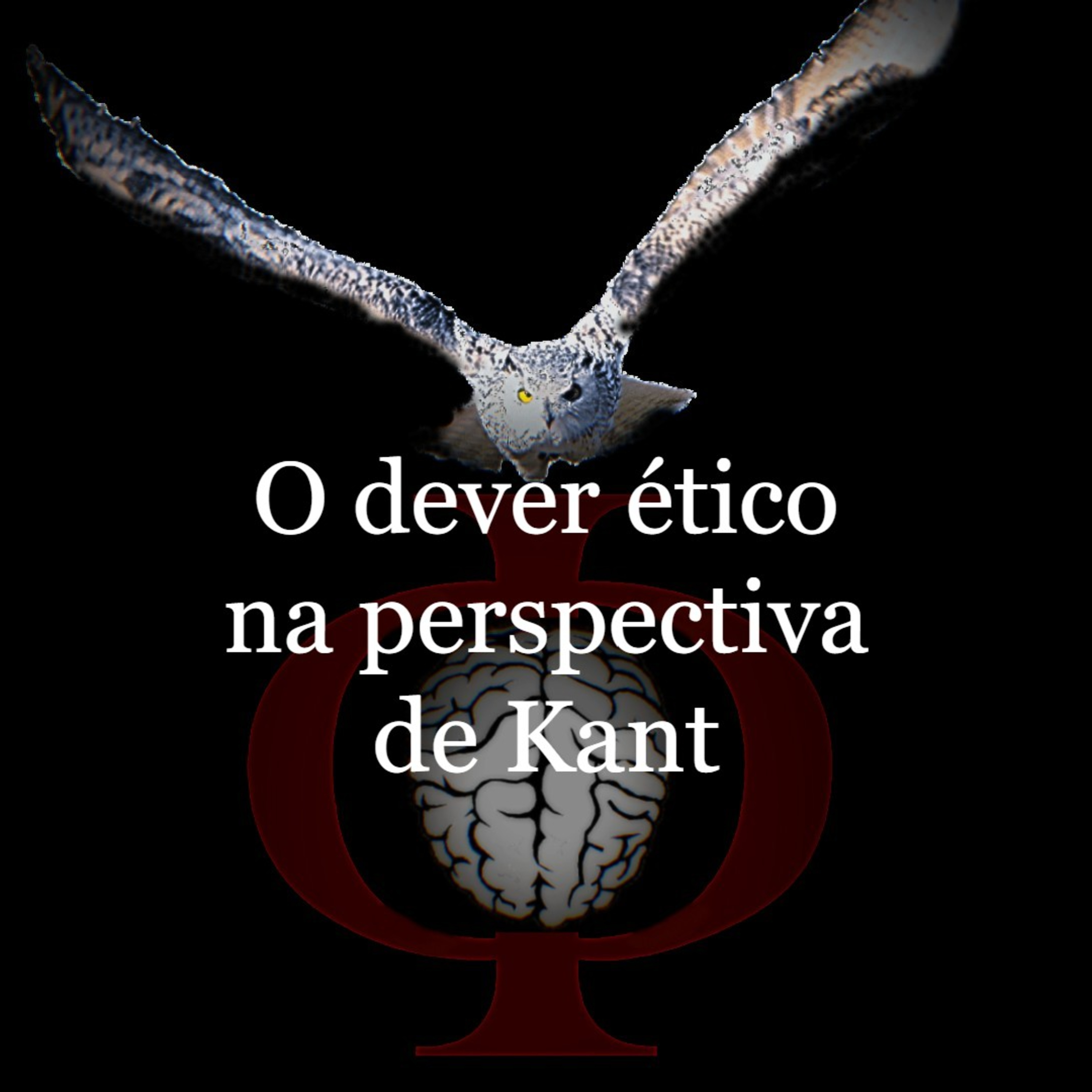 Das provocações à razão