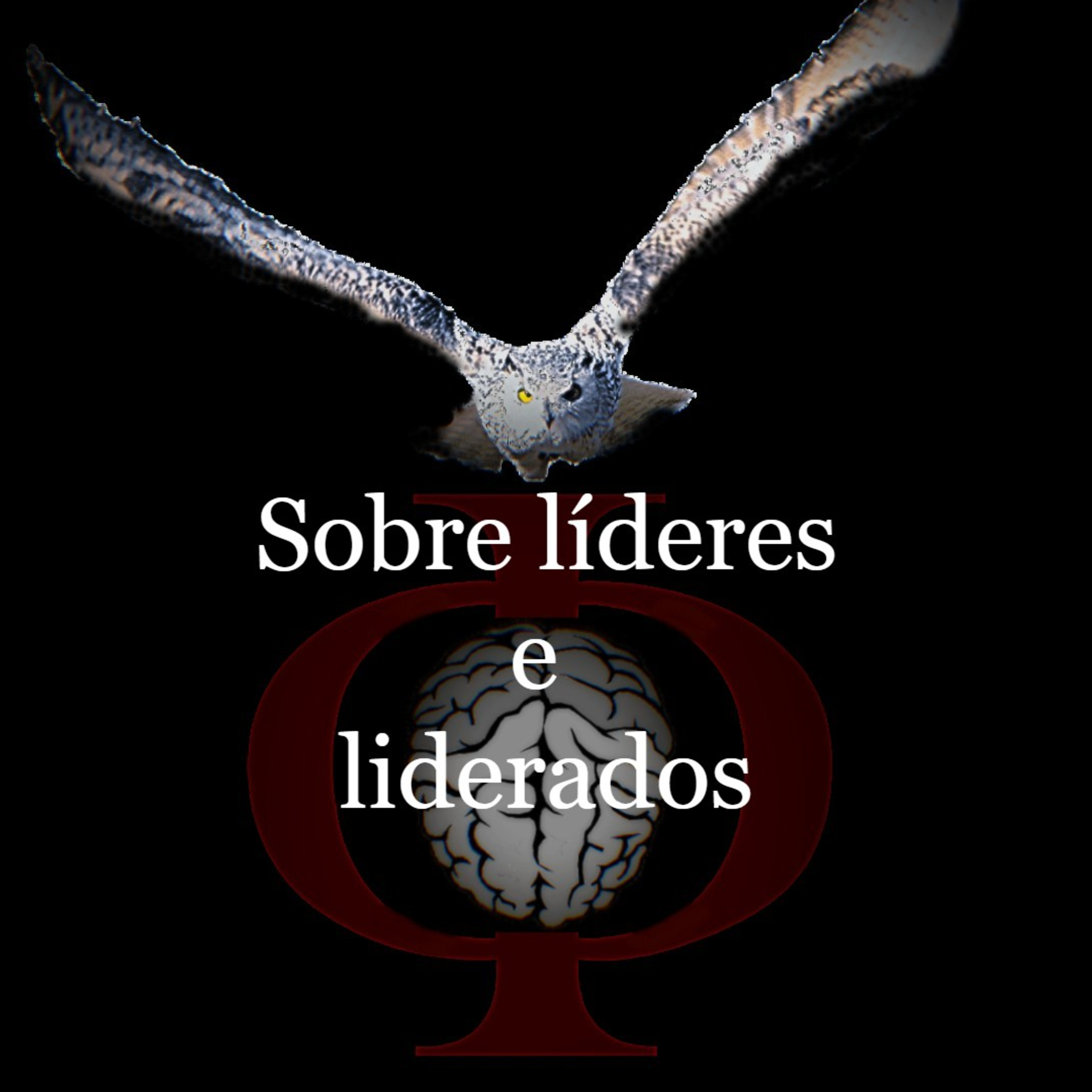 Das provocações à razão