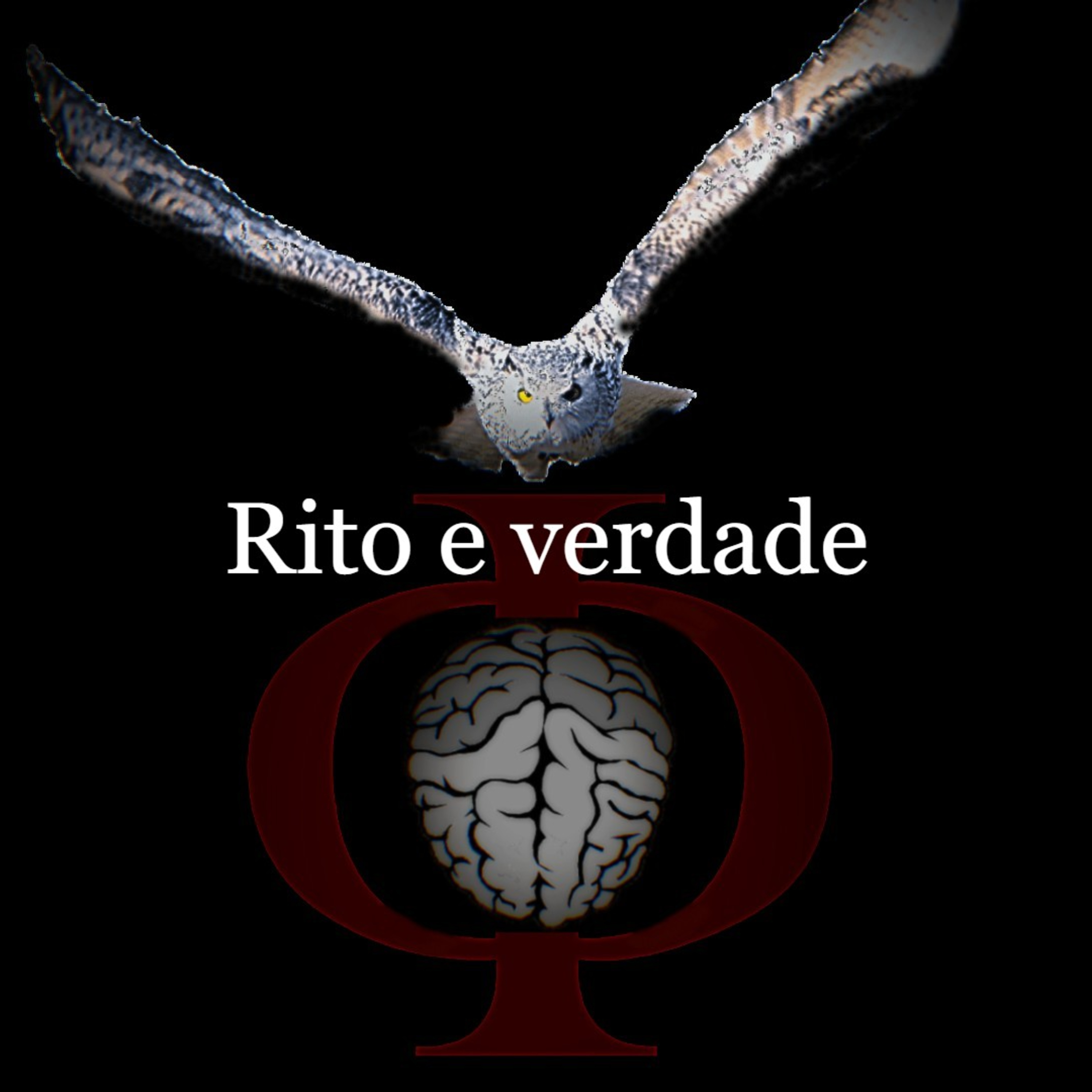 Das provocações à razão