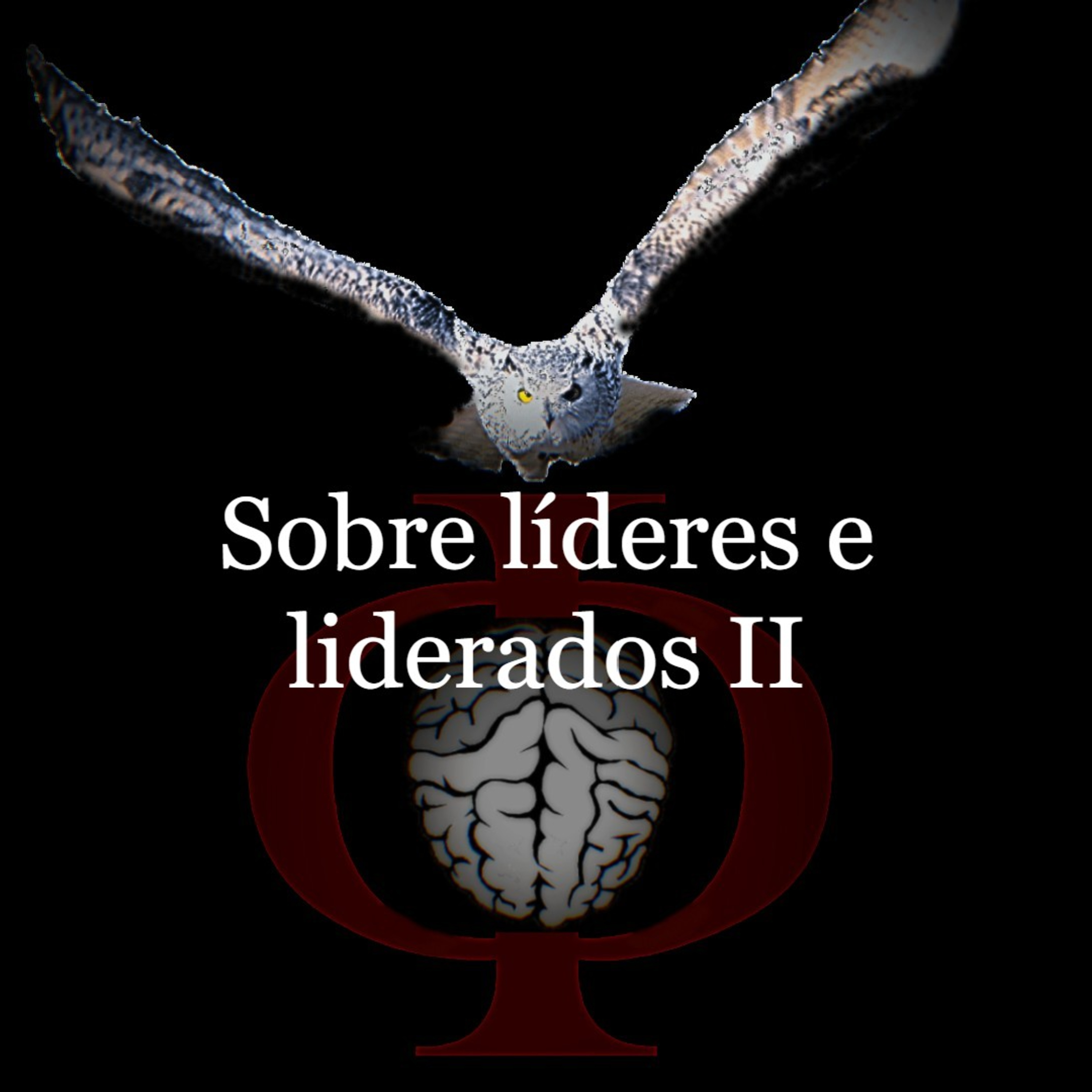 Das provocações à razão