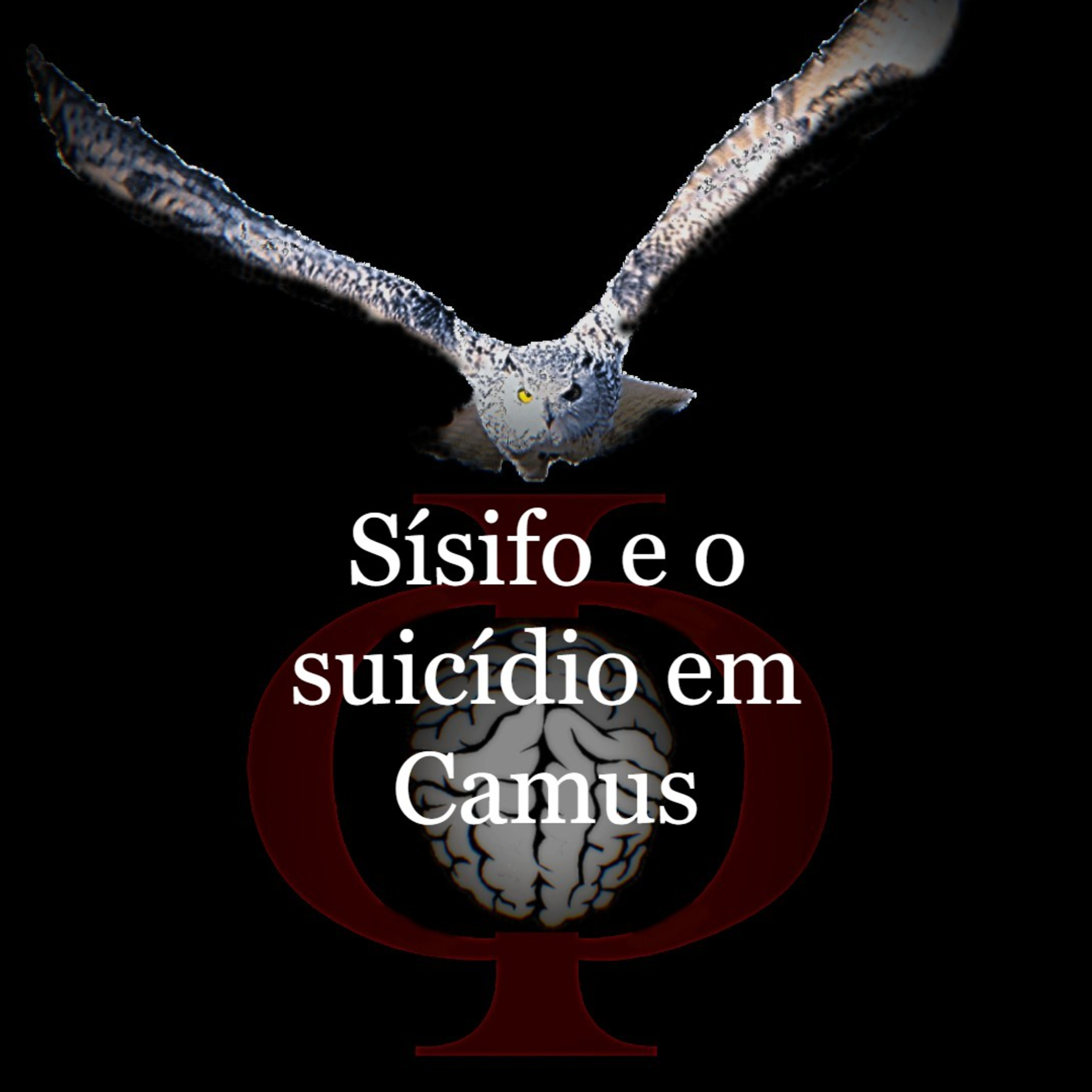 Das provocações à razão