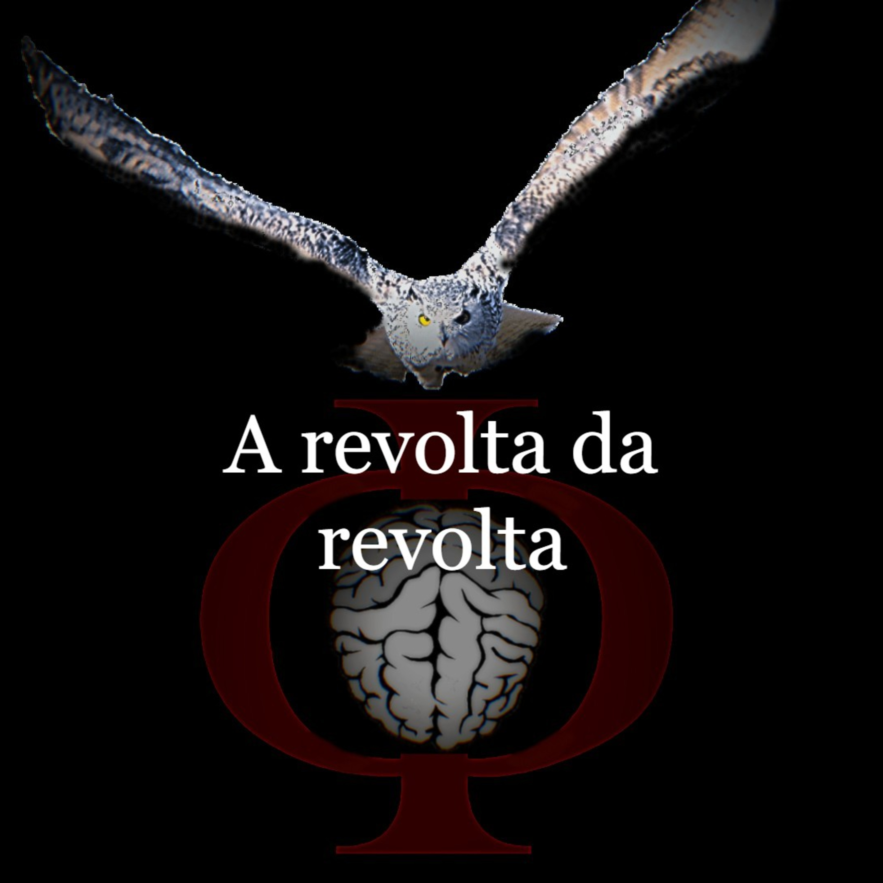 Das provocações à razão