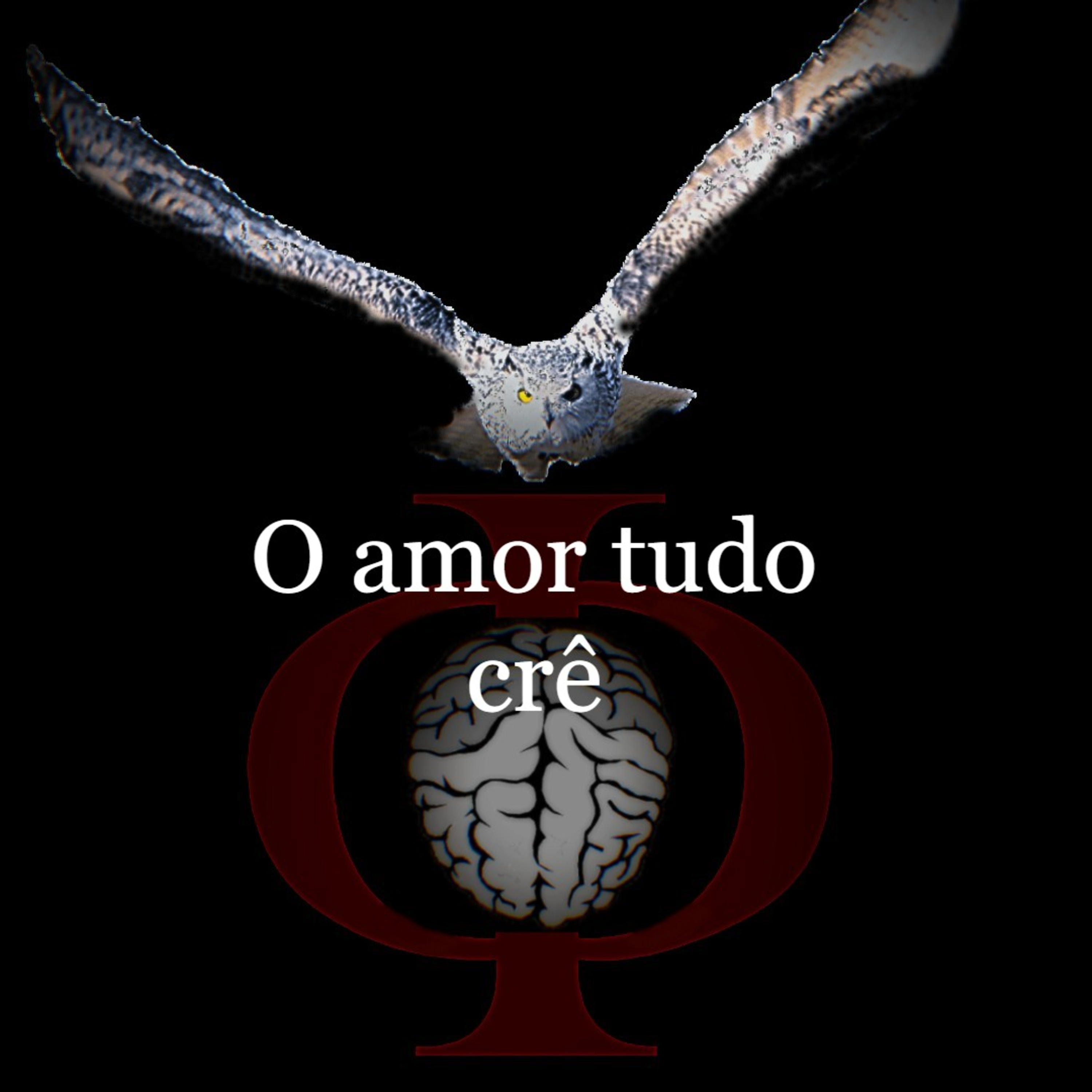 Das provocações à razão