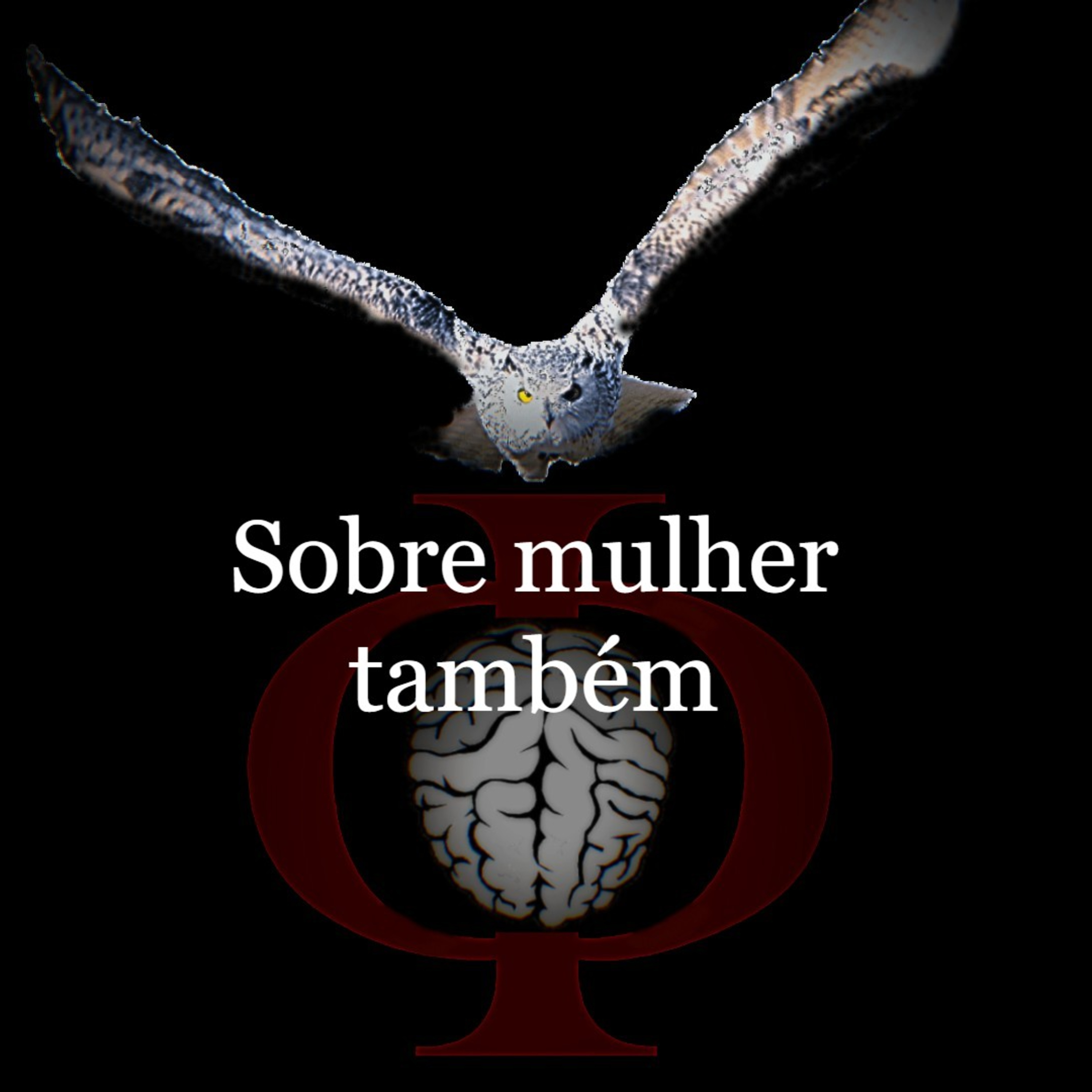 Das provocações à razão