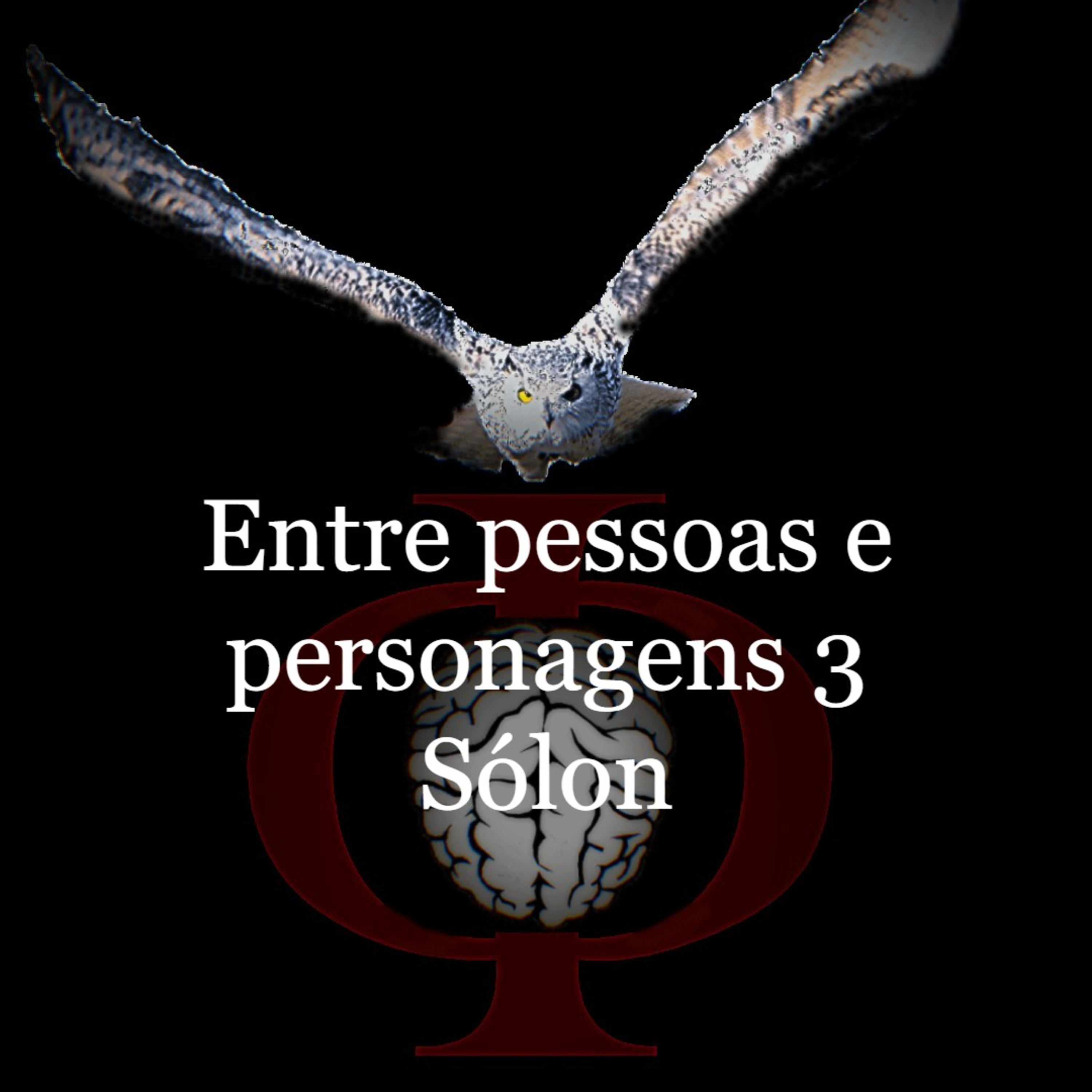 Das provocações à razão