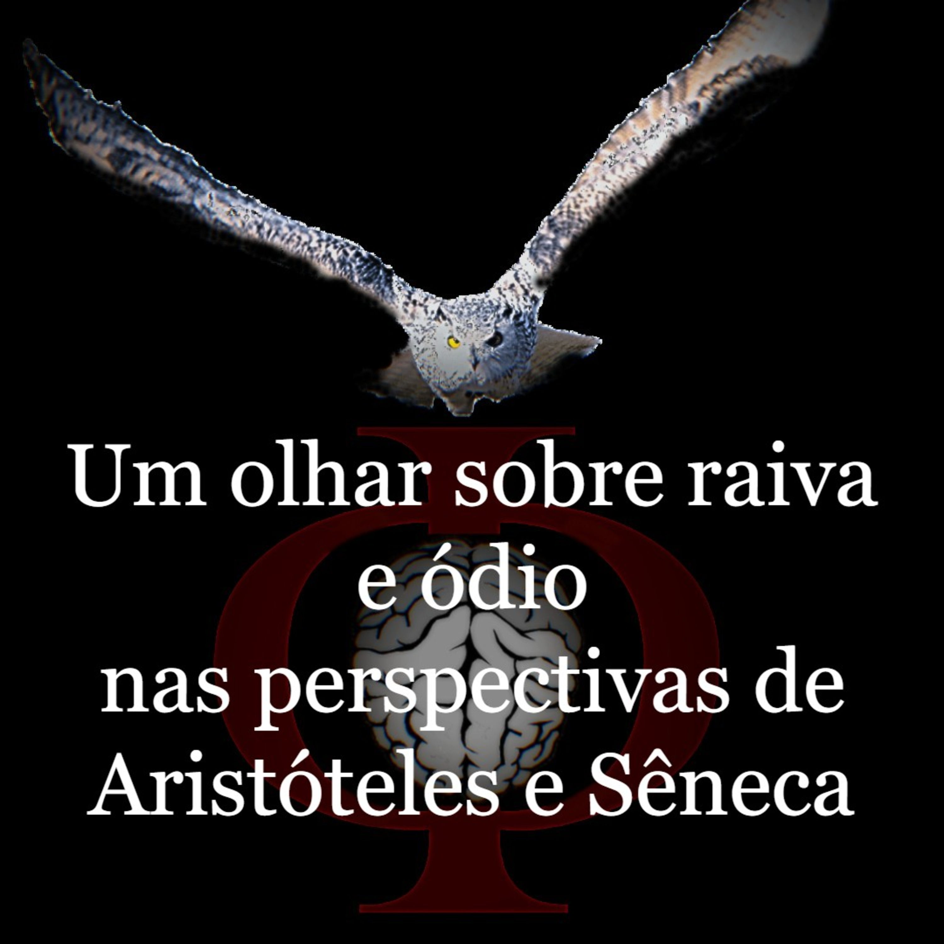 Das provocações à razão