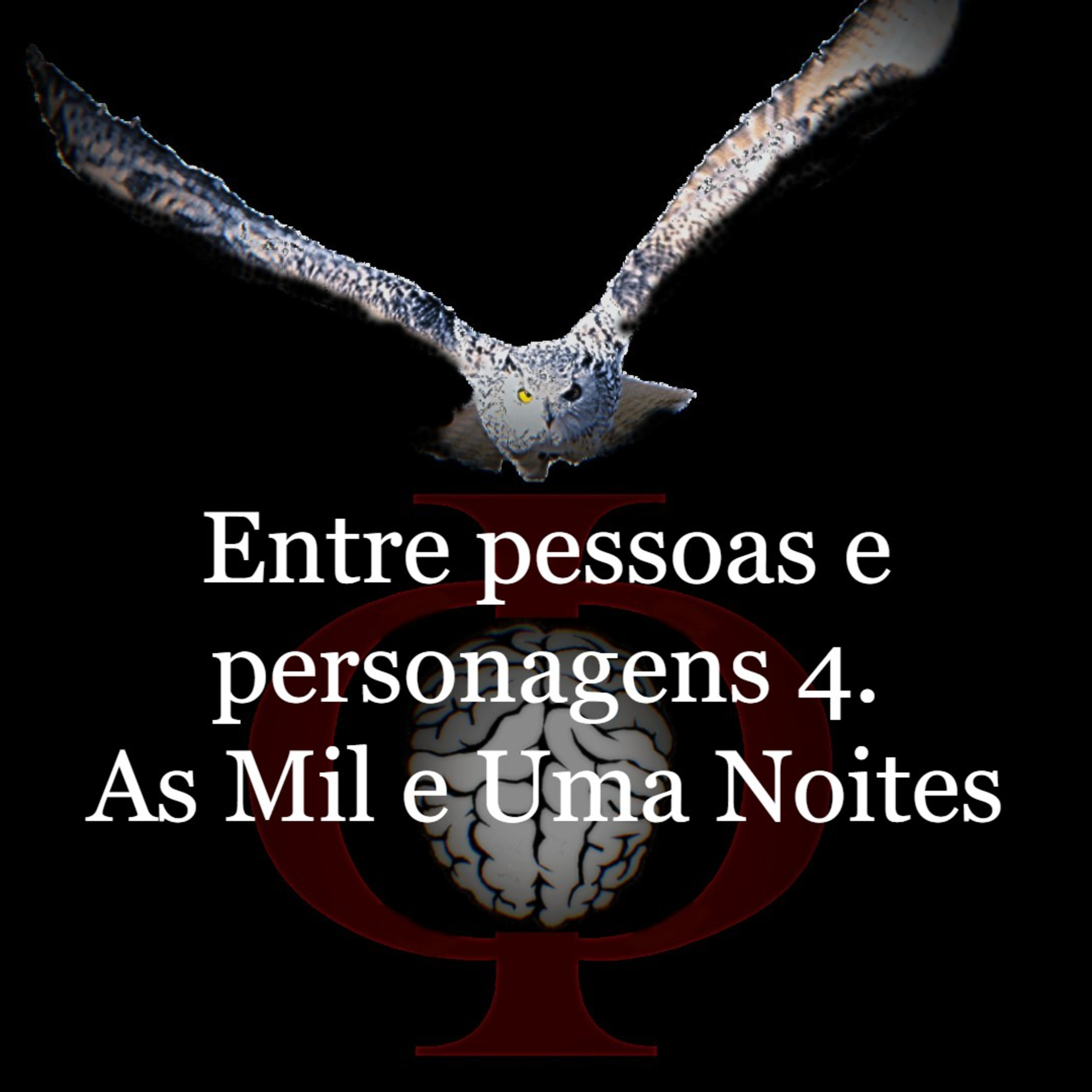 Das provocações à razão