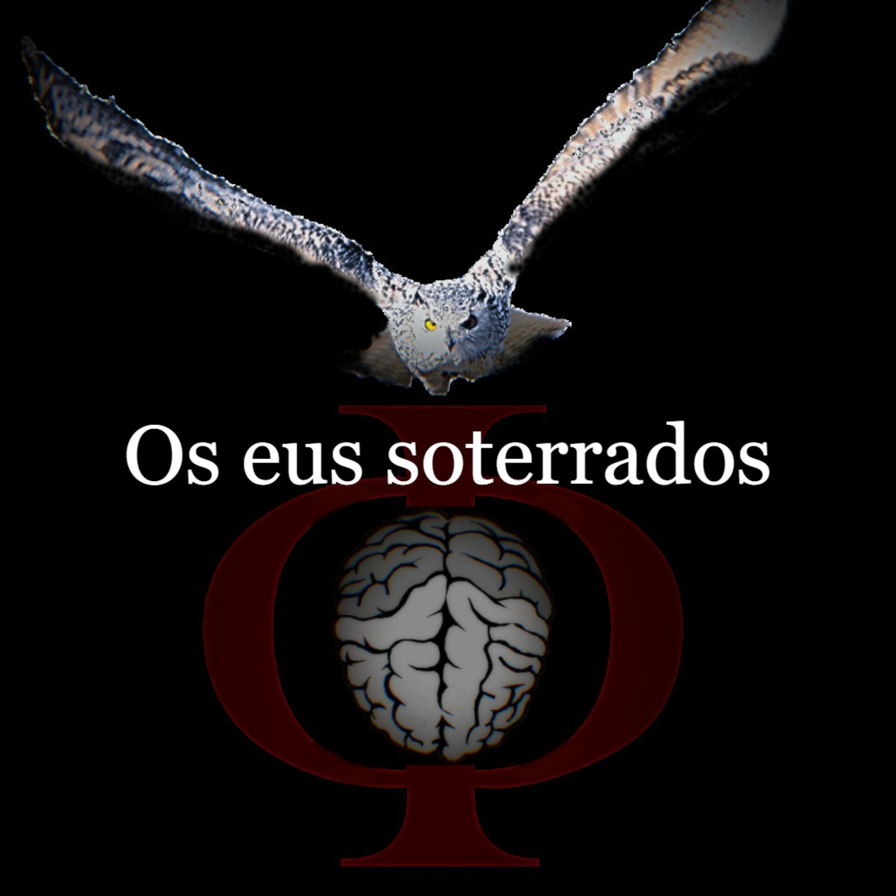 Das provocações à razão