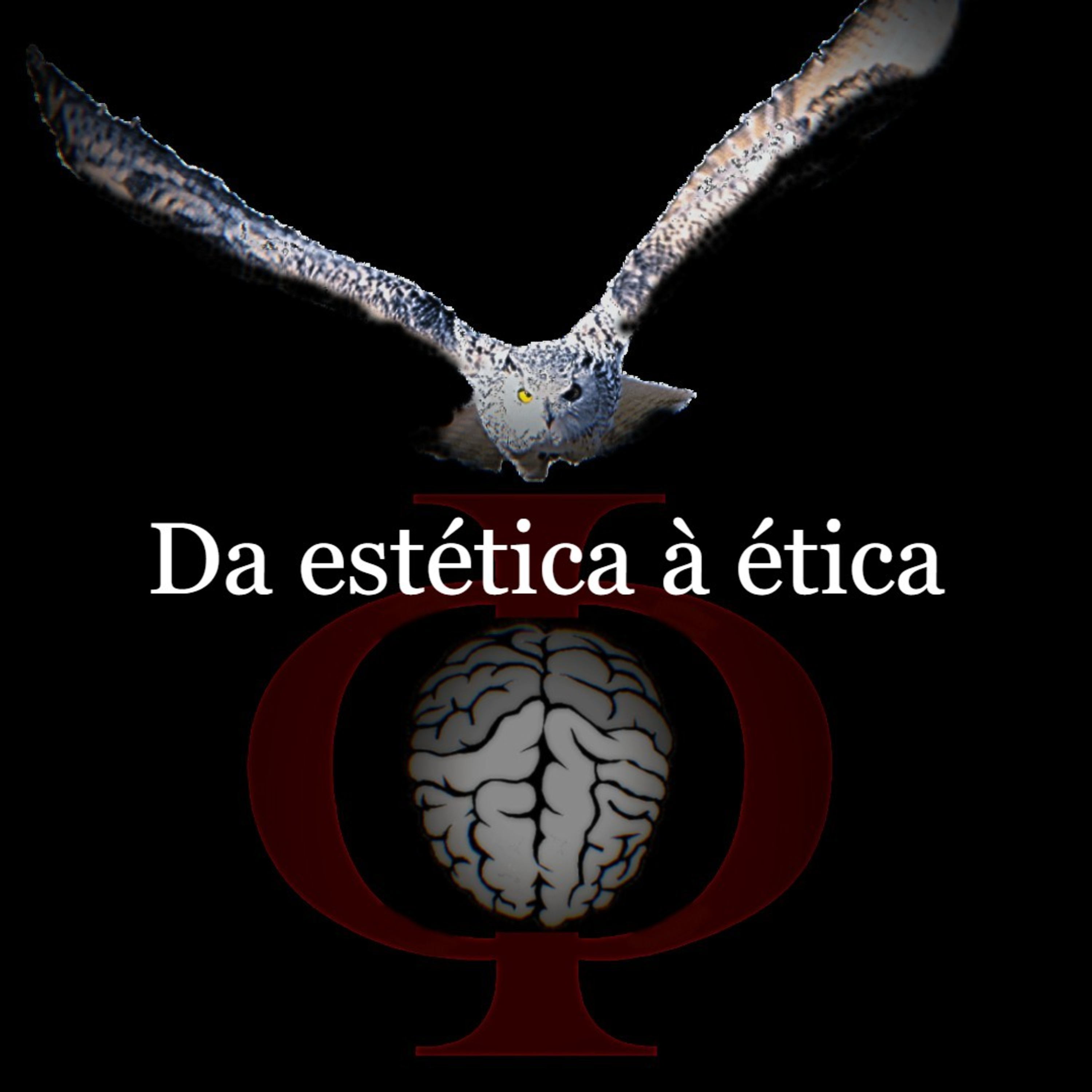Das provocações à razão
