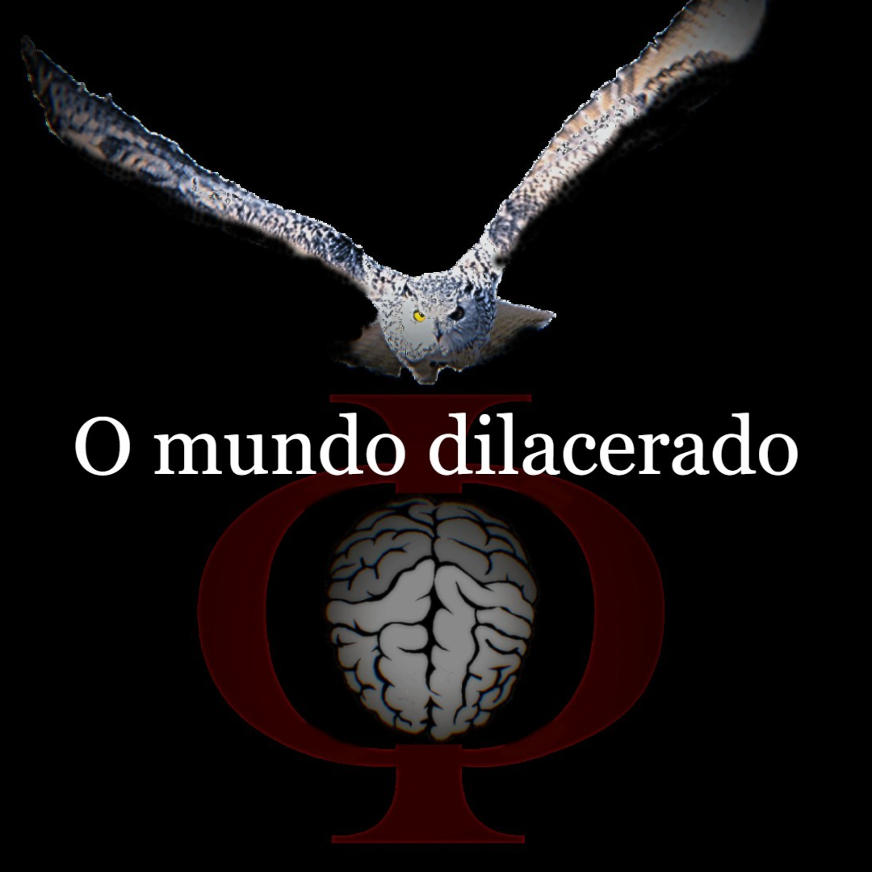 Das provocações à razão