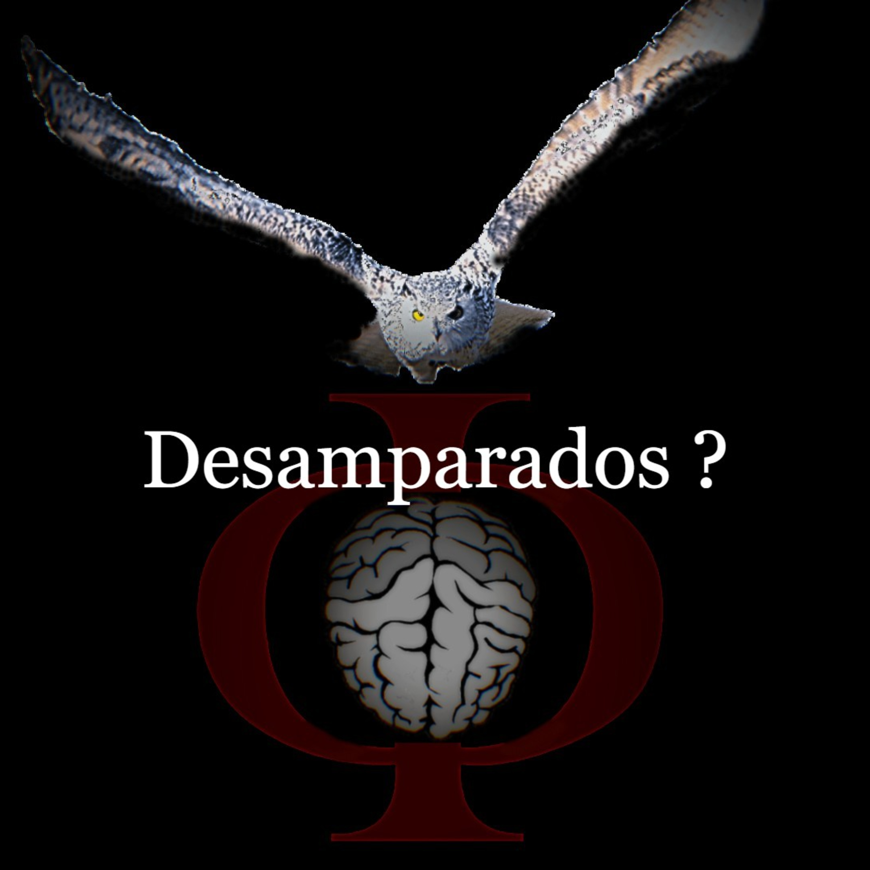 Das provocações à razão