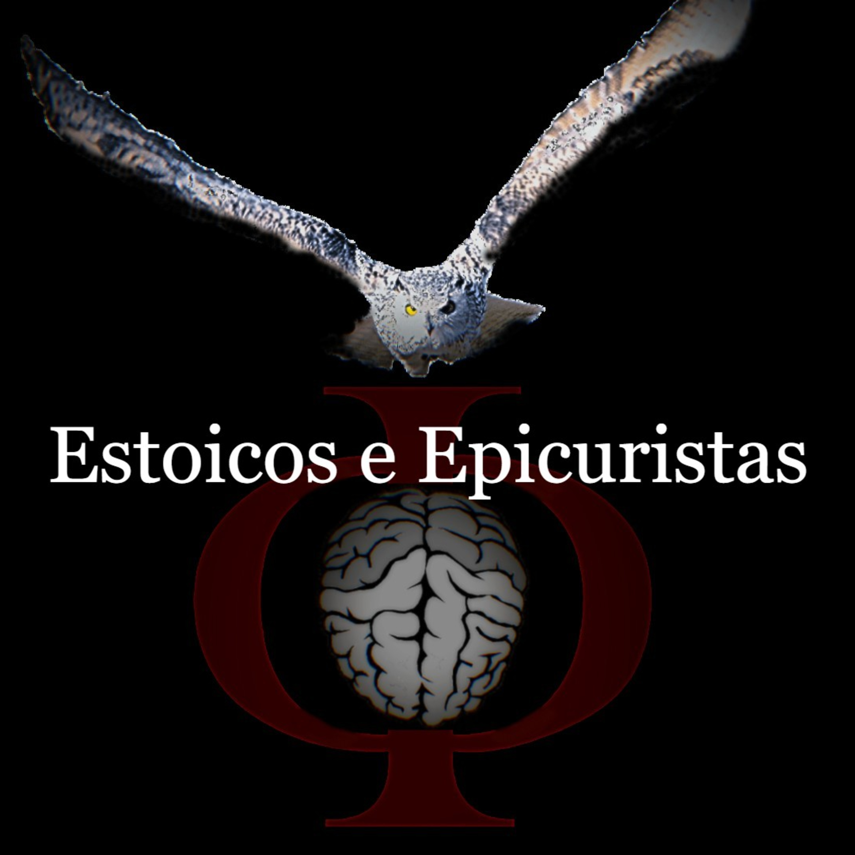 Das provocações à razão