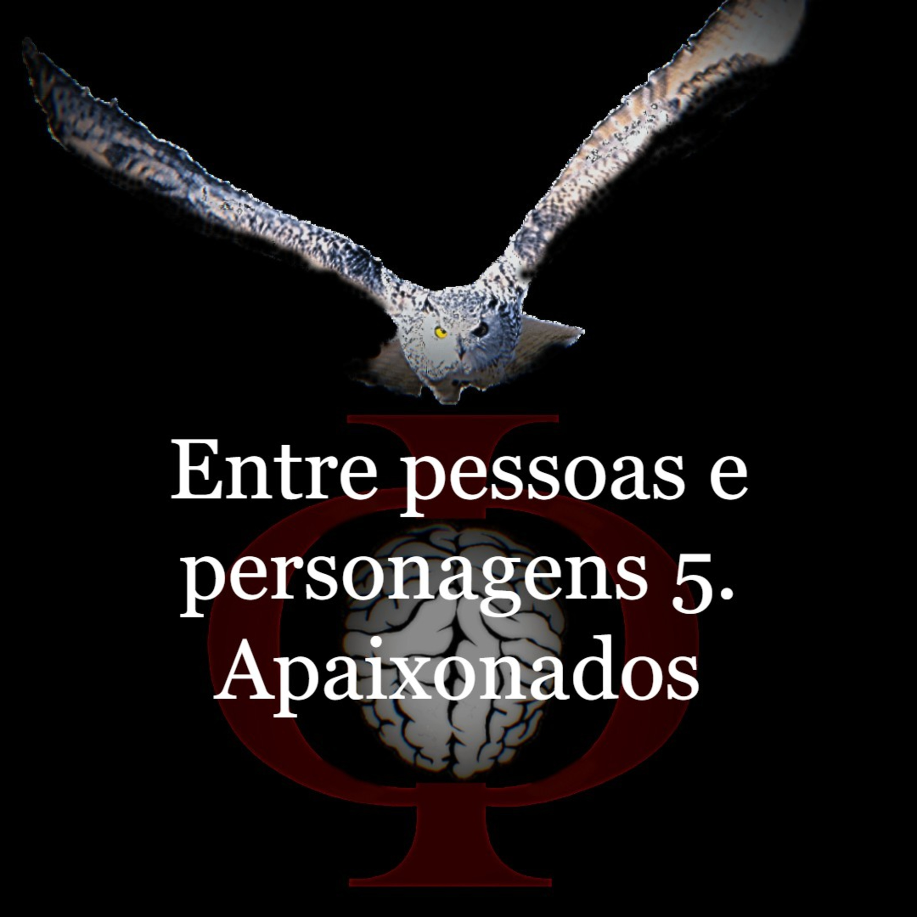 Das provocações à razão