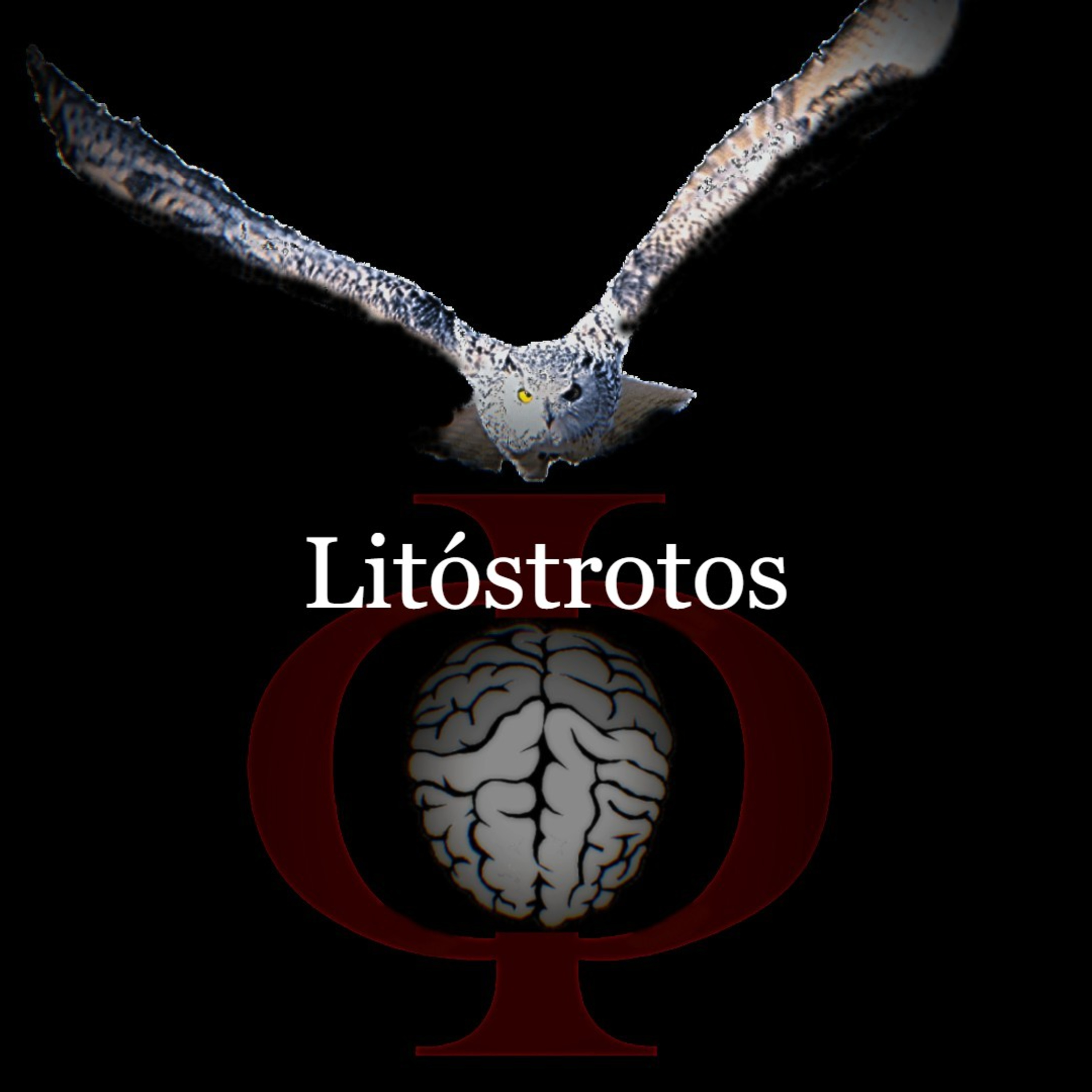 Das provocações à razão