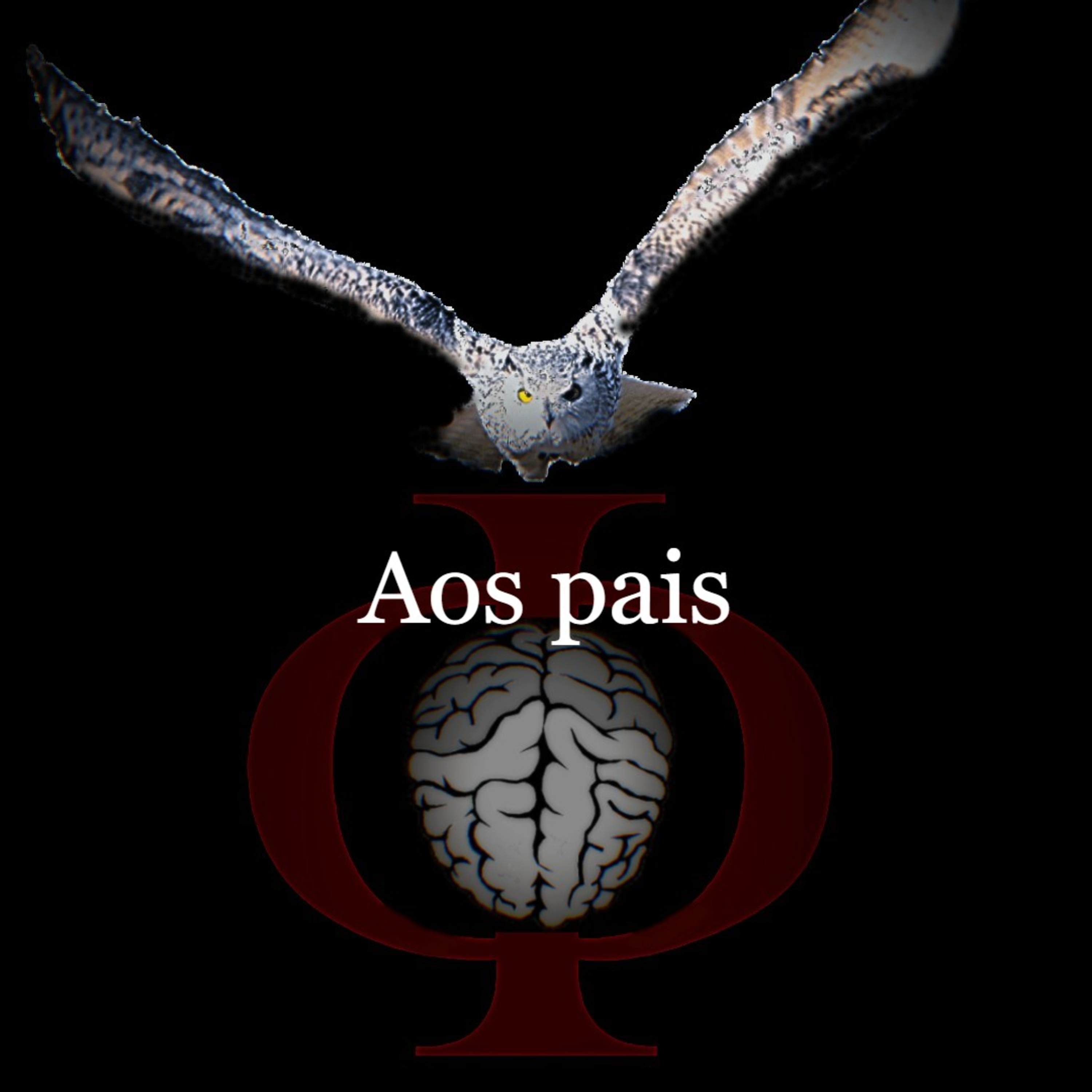 Das provocações à razão