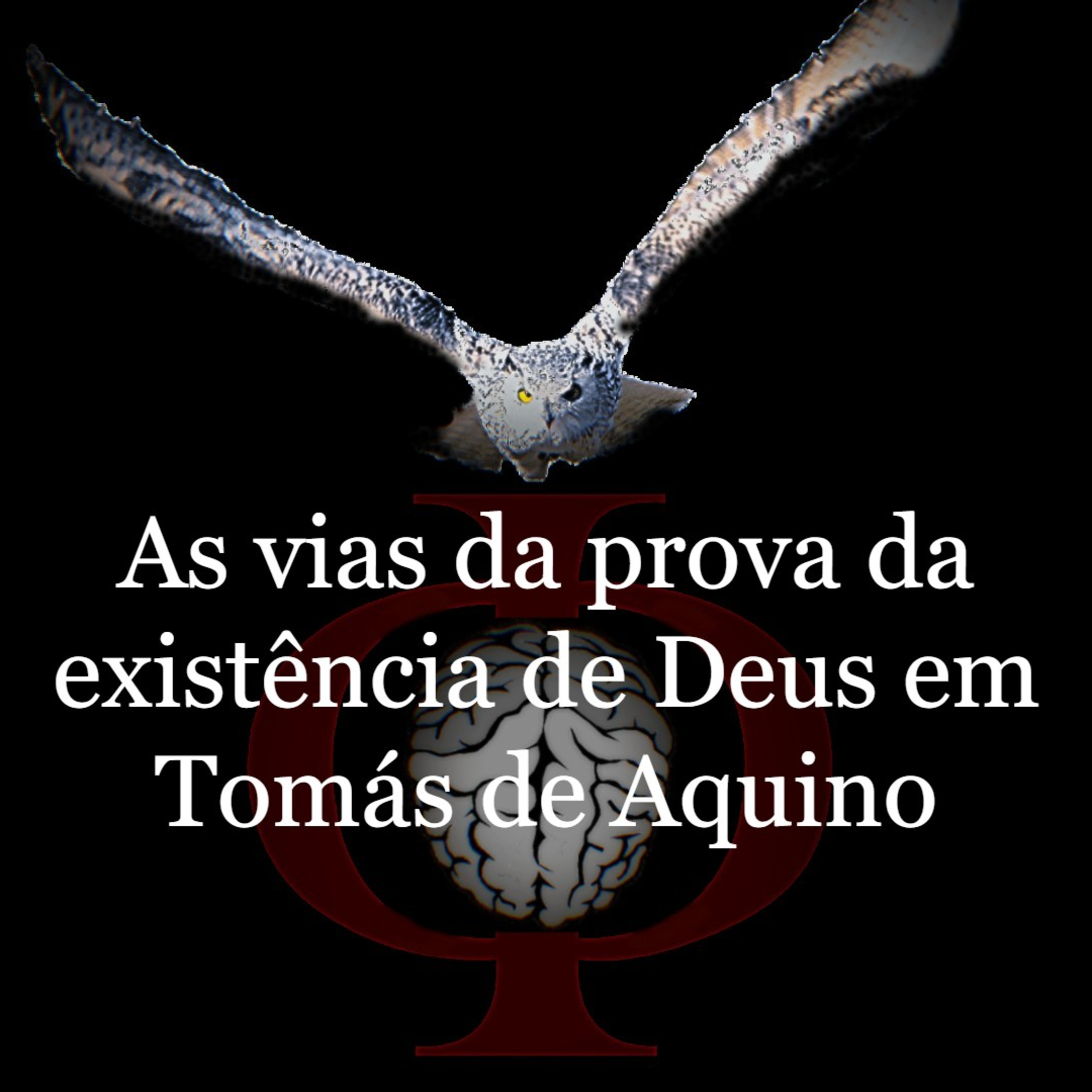 Das provocações à razão