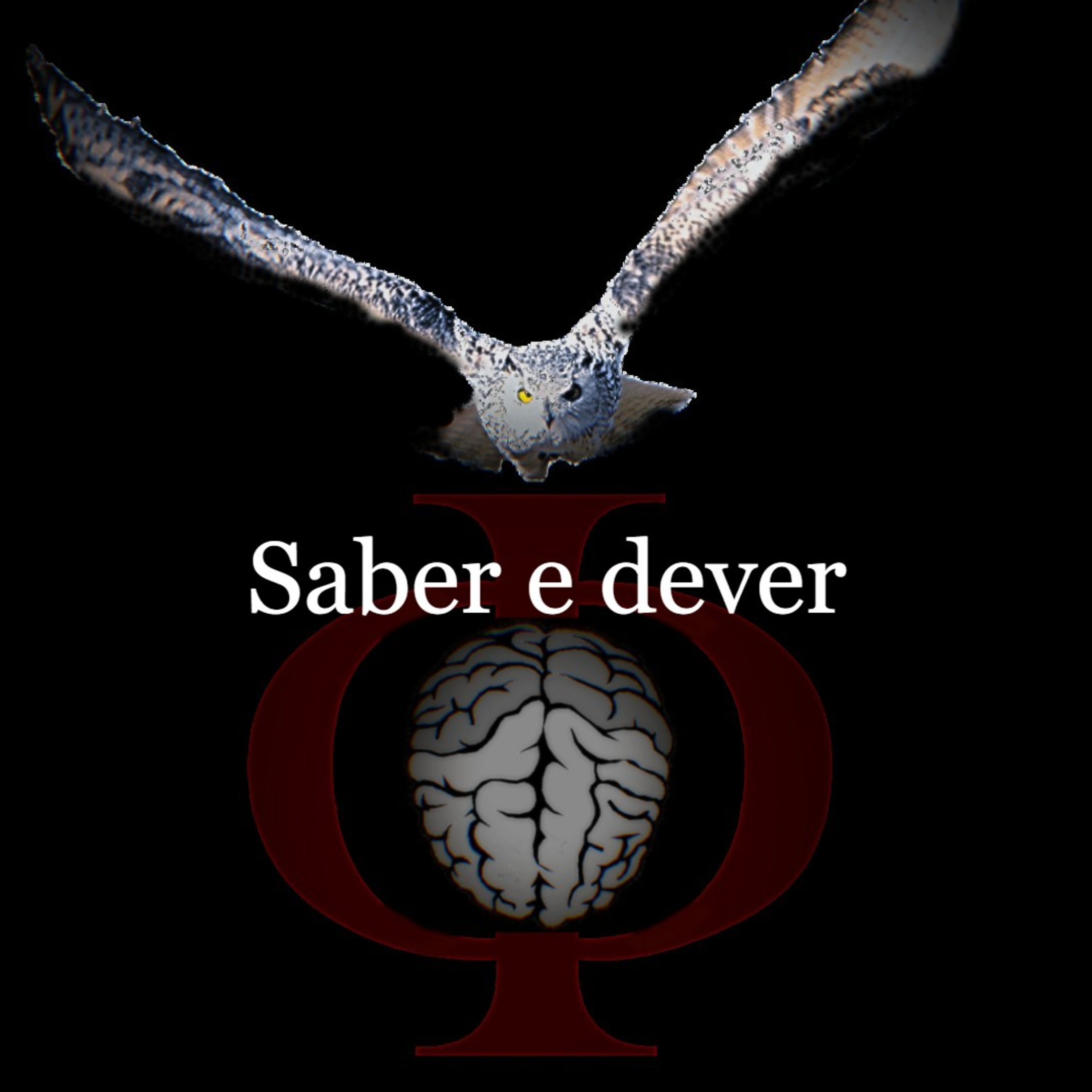 Das provocações à razão