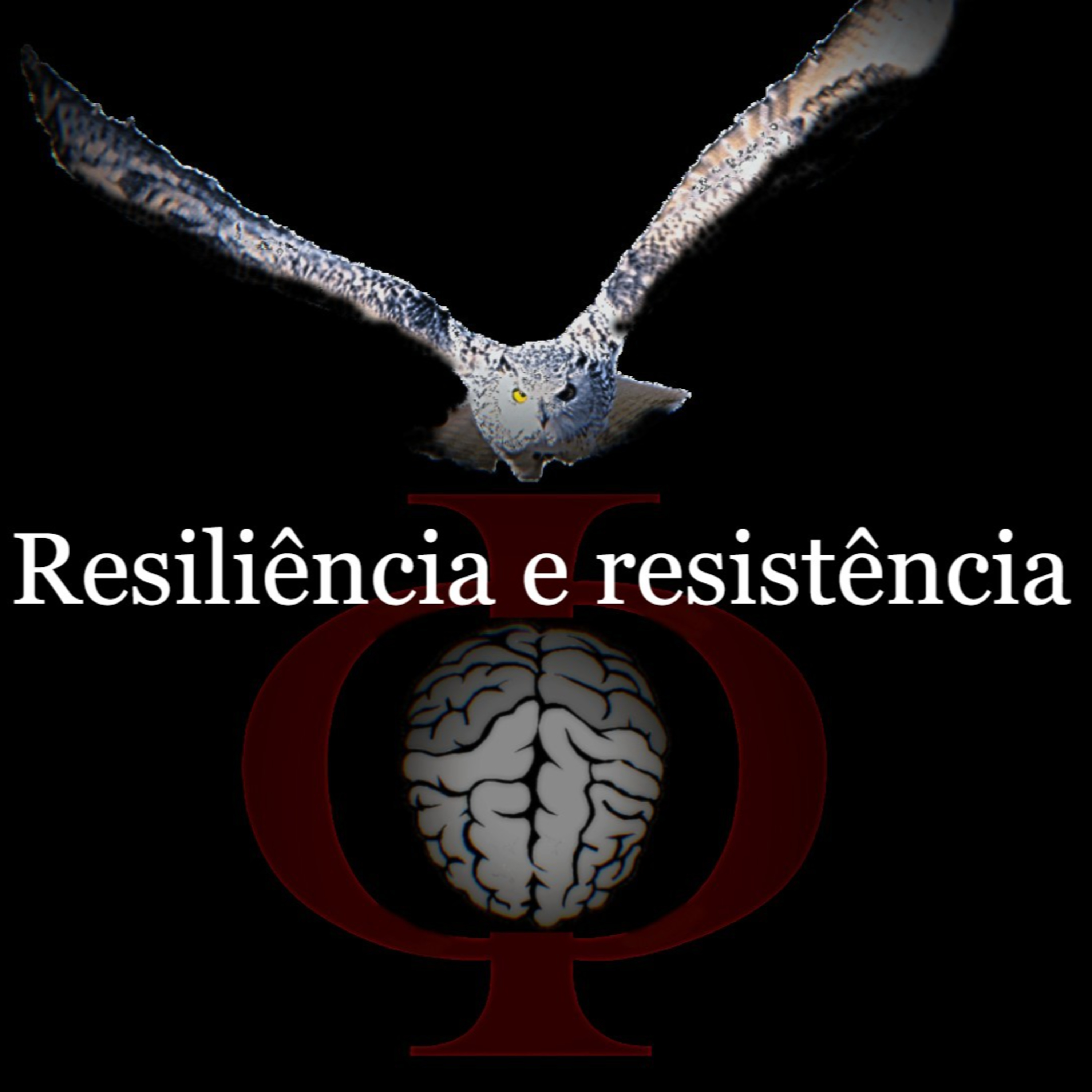 Das provocações à razão