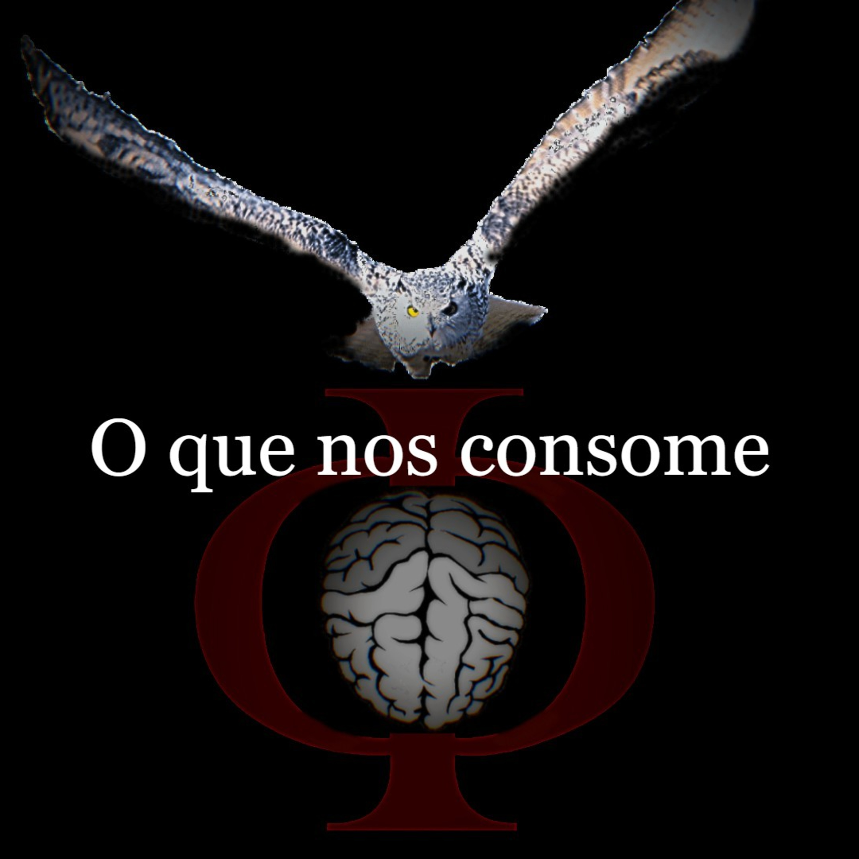 Das provocações à razão