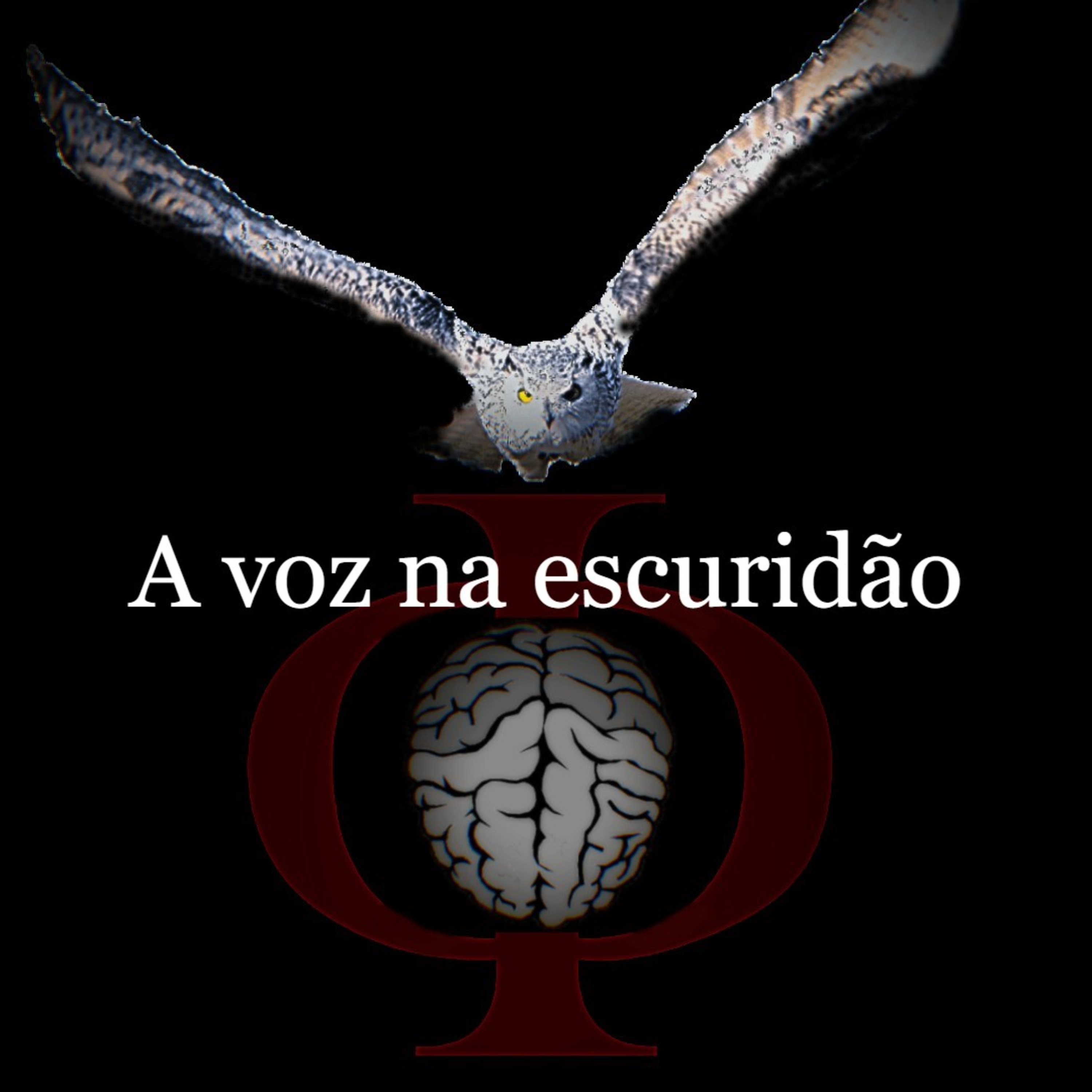 Das provocações à razão