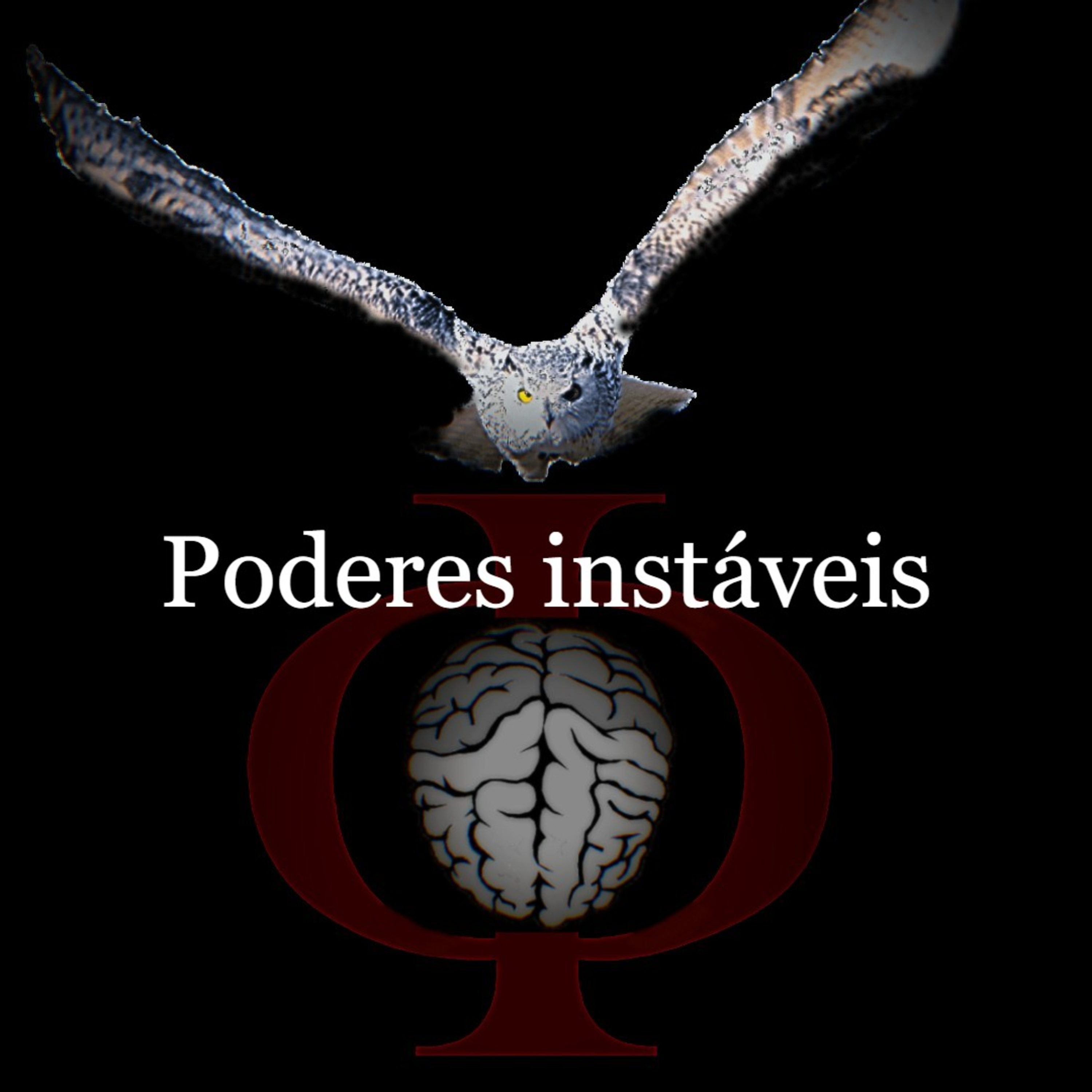 Das provocações à razão