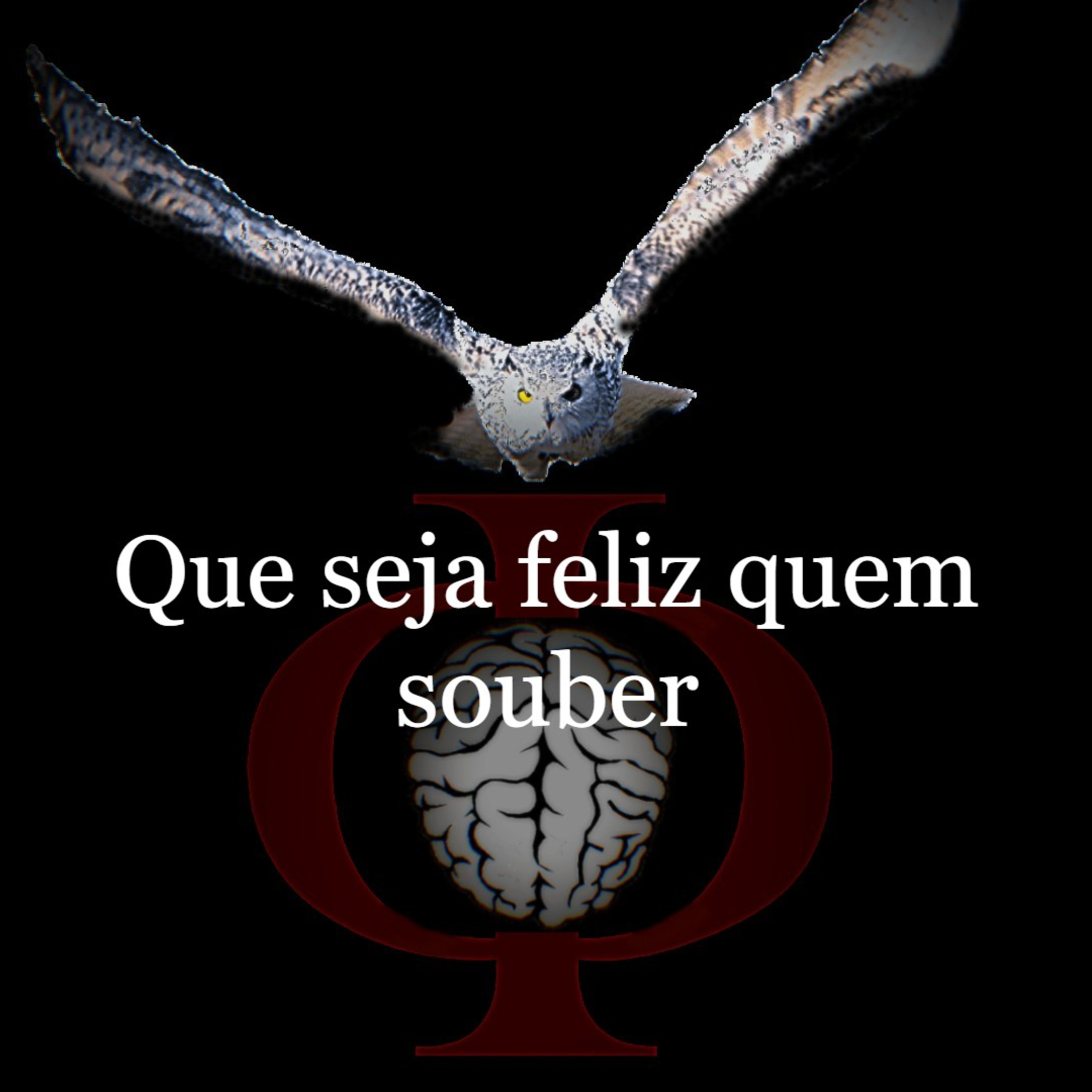 Das provocações à razão