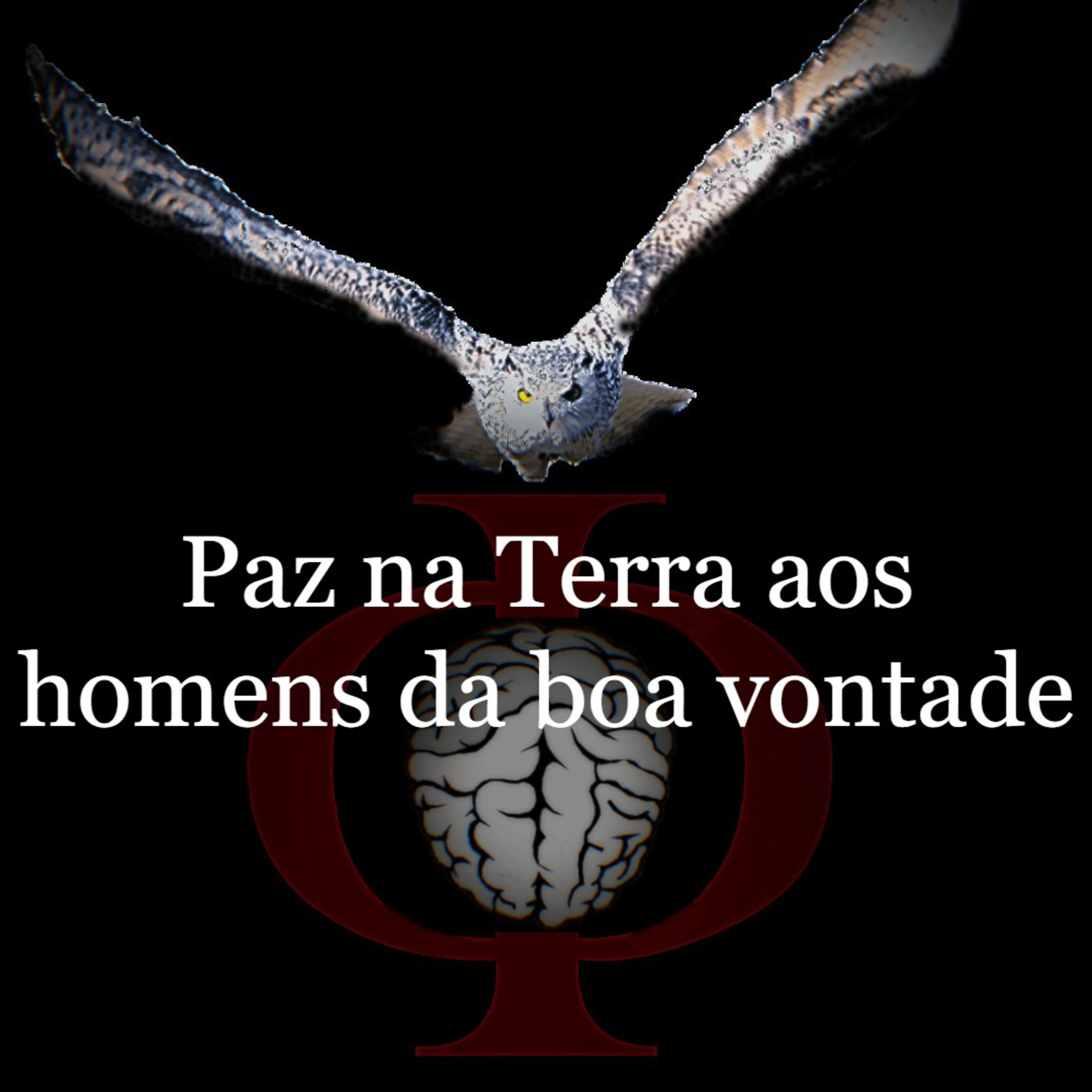 Das provocações à razão