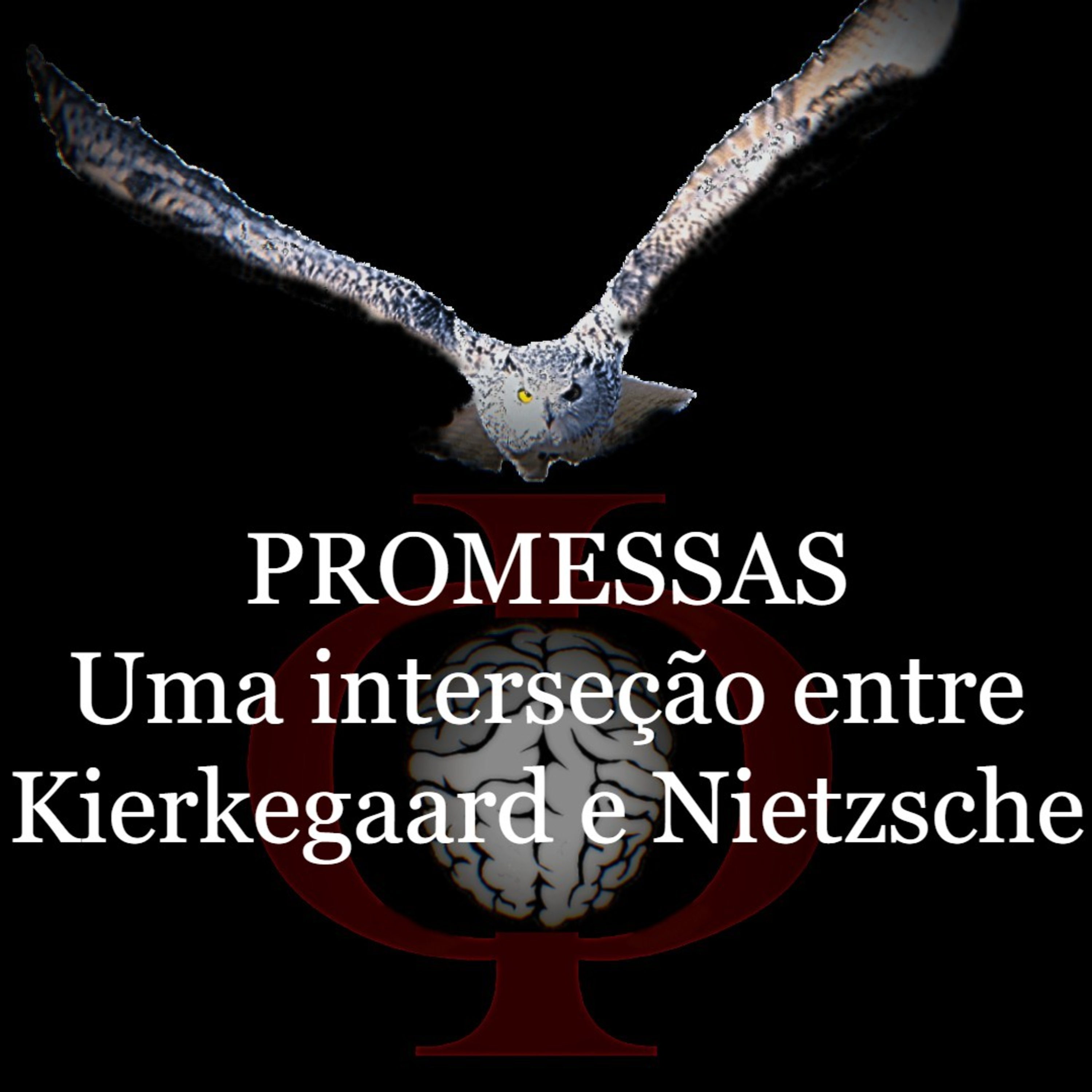 Das provocações à razão