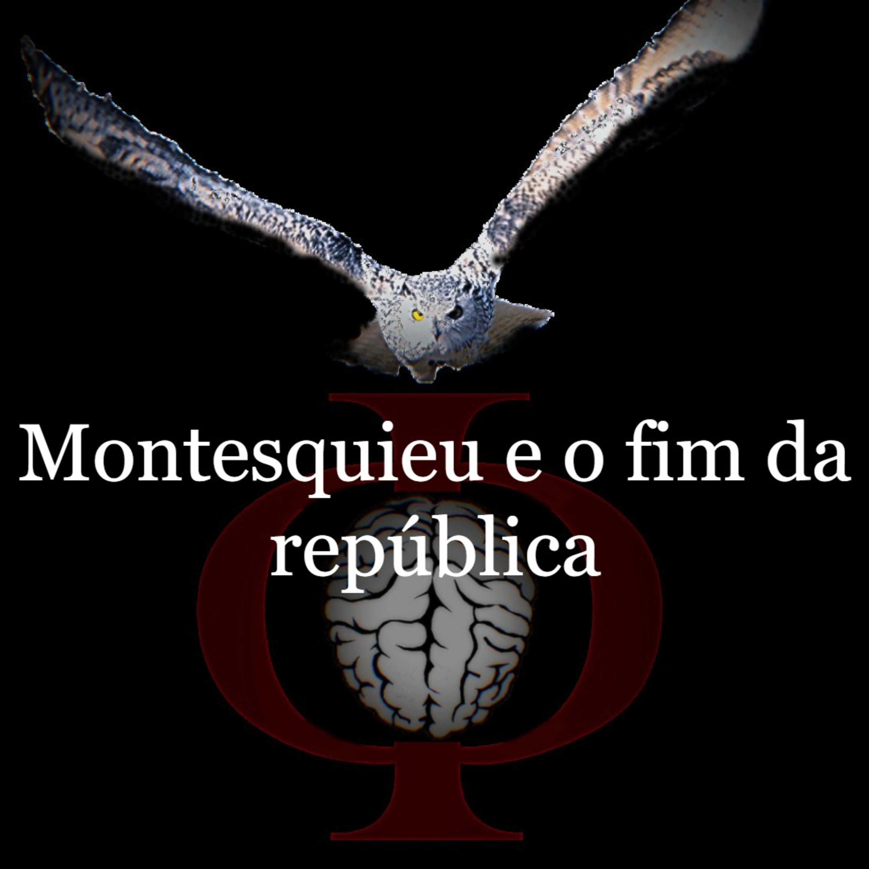 Das provocações à razão