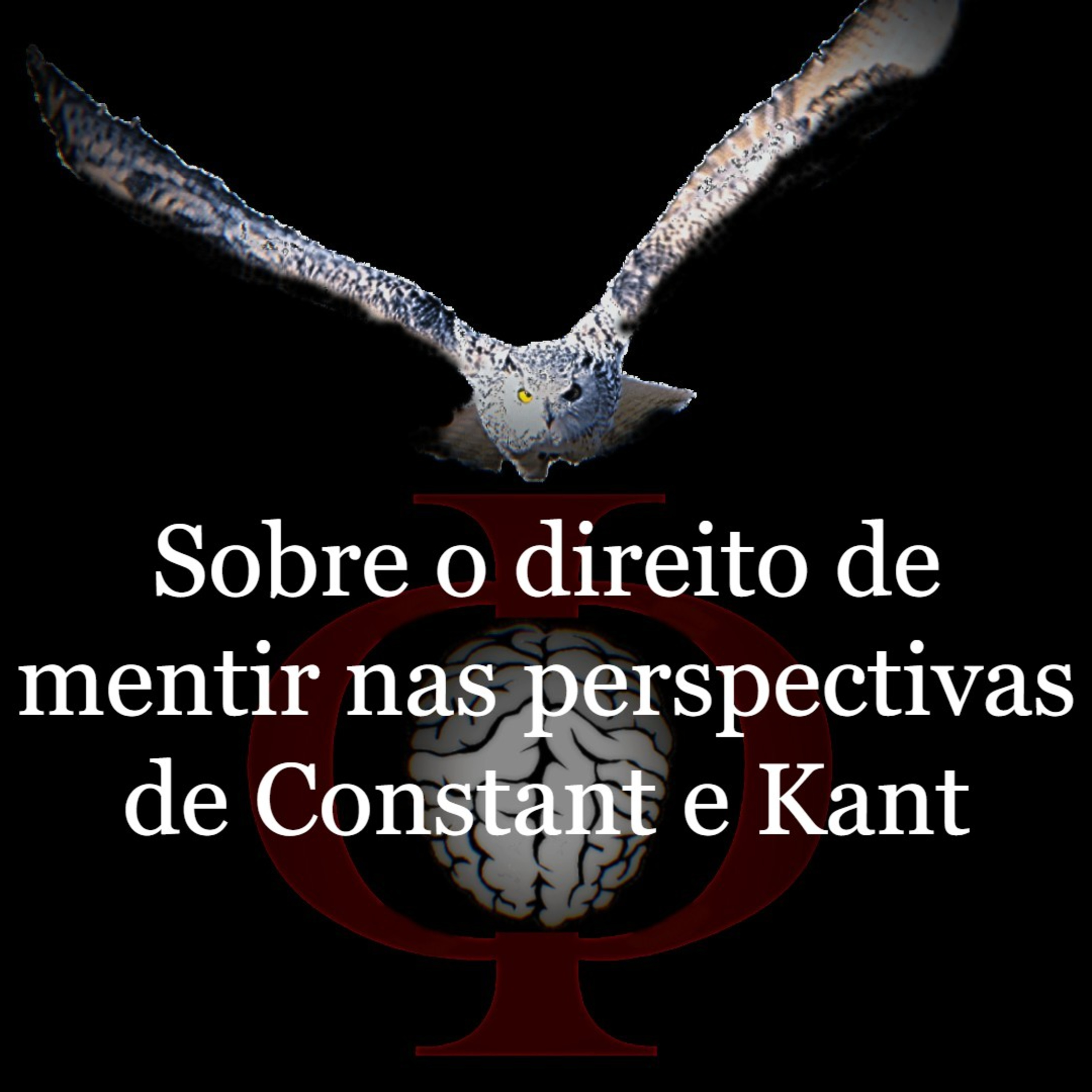 Das provocações à razão