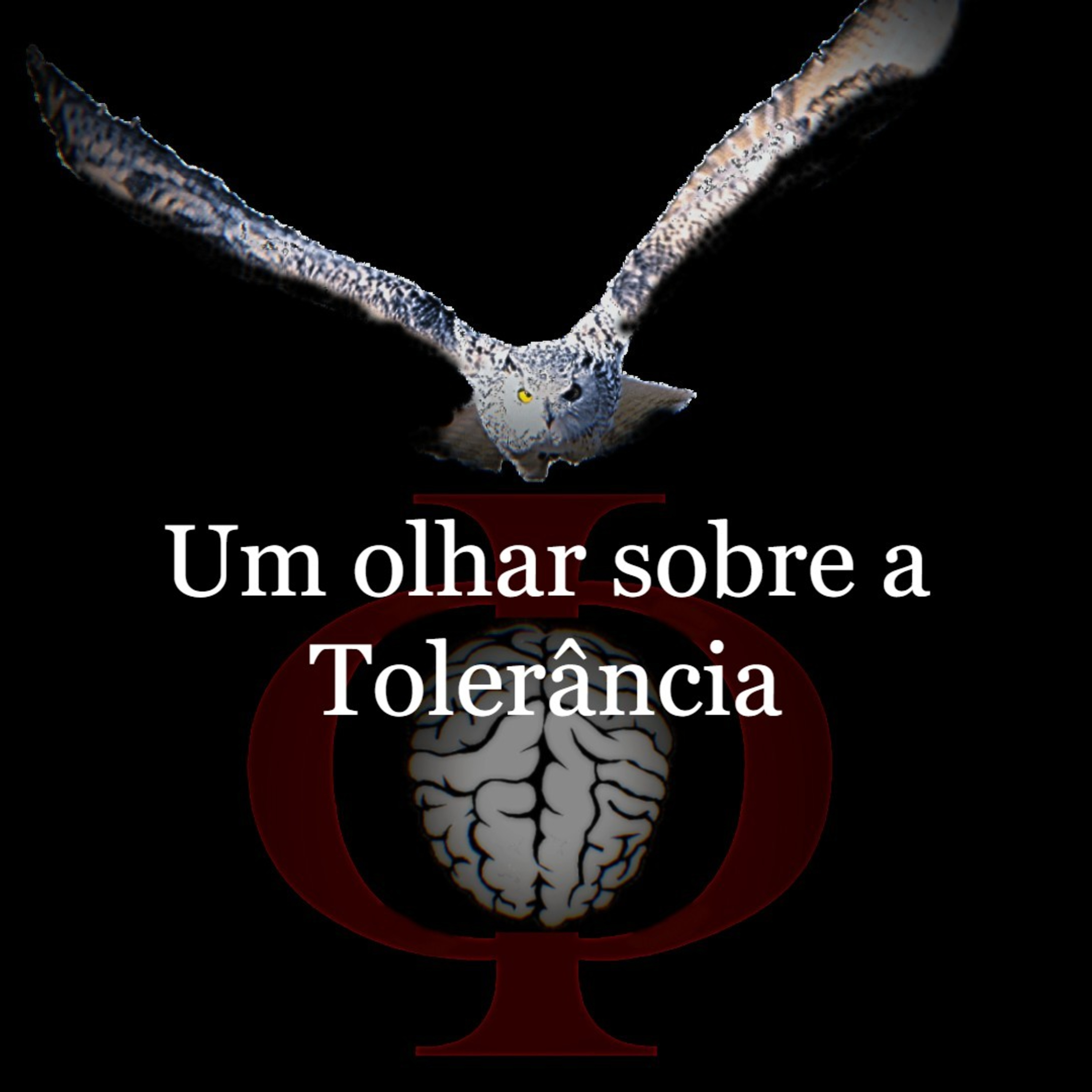 Das provocações à razão