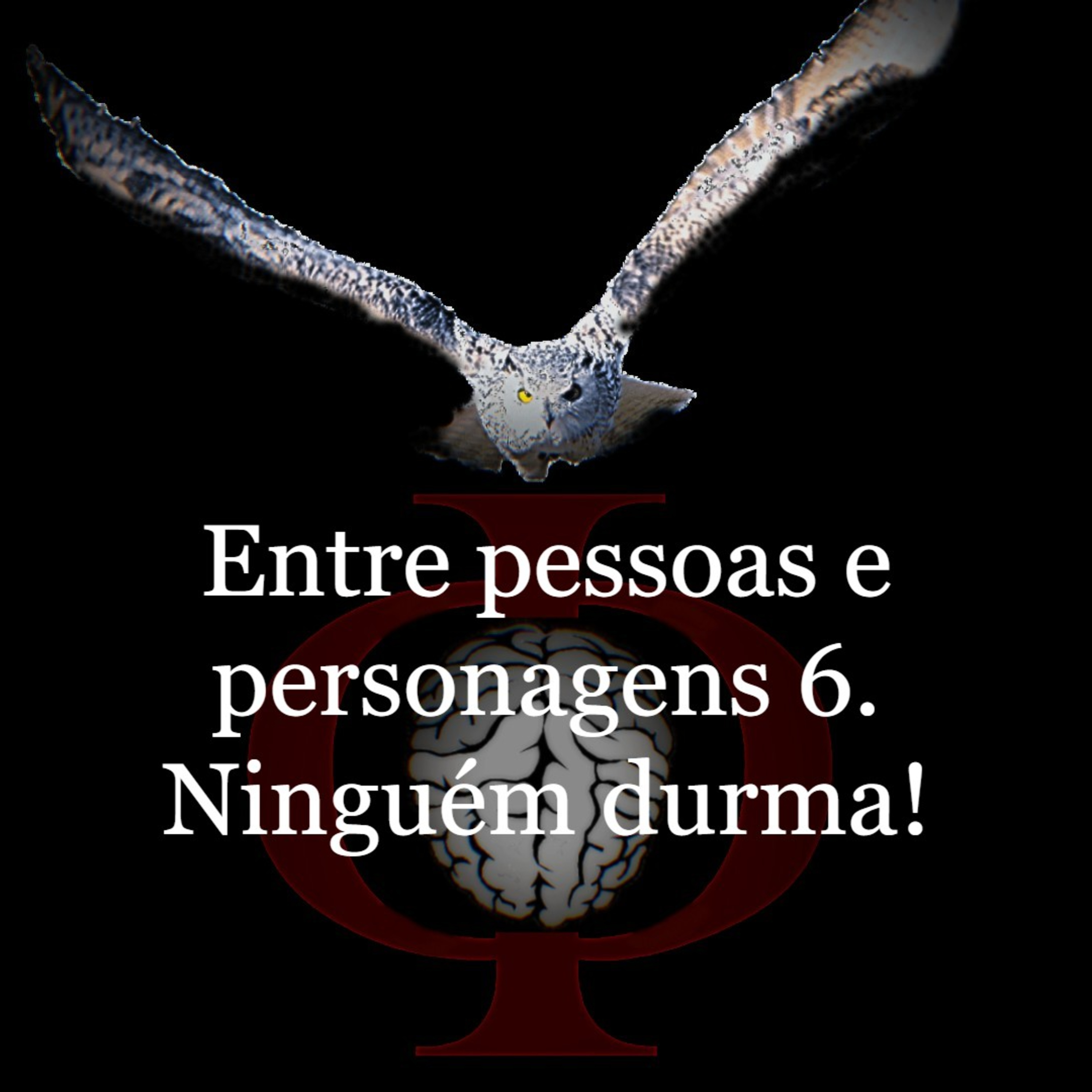 Das provocações à razão