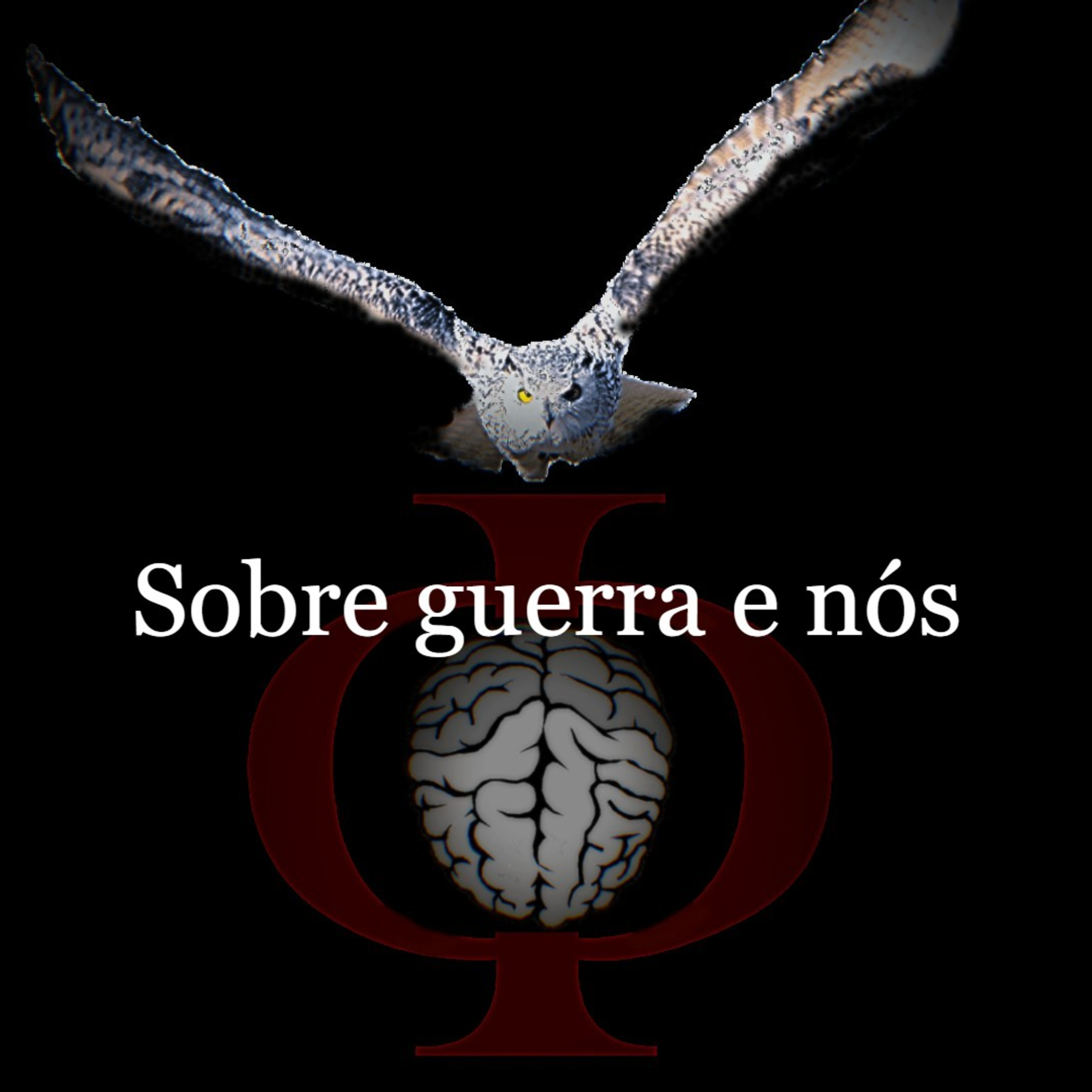 Das provocações à razão