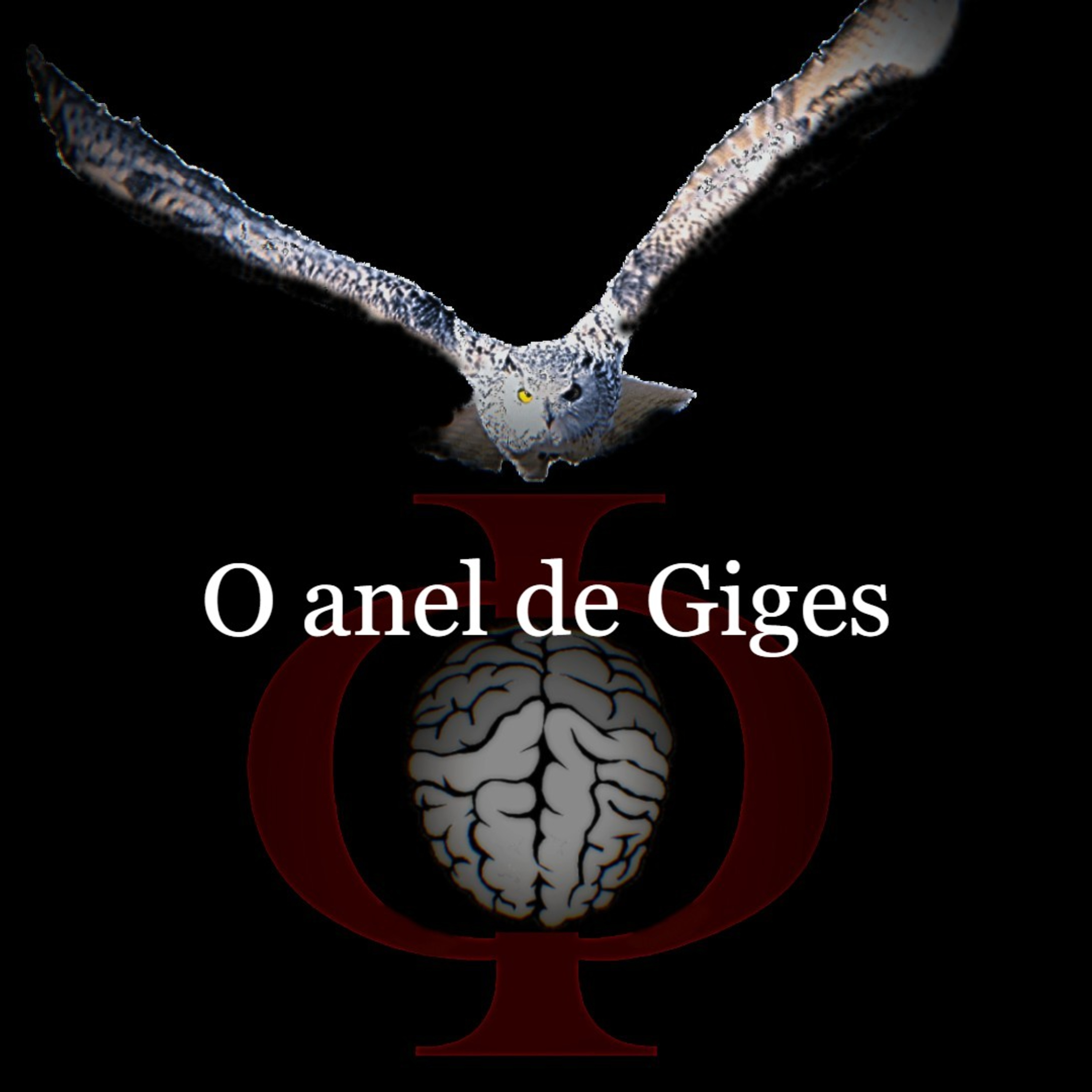 Das provocações à razão