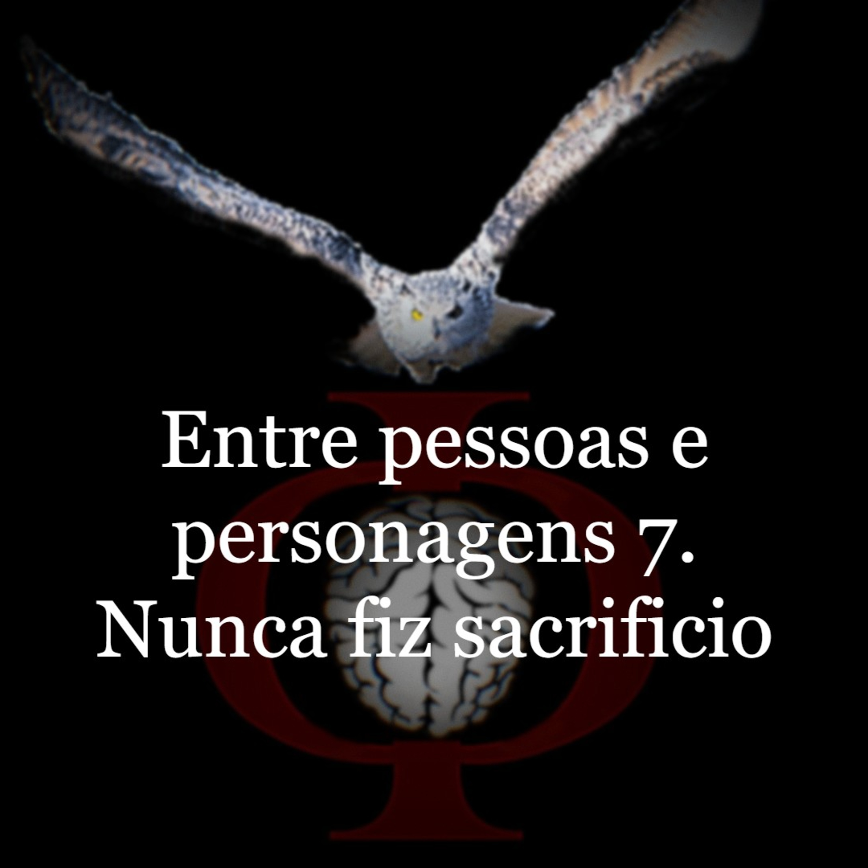Das provocações à razão
