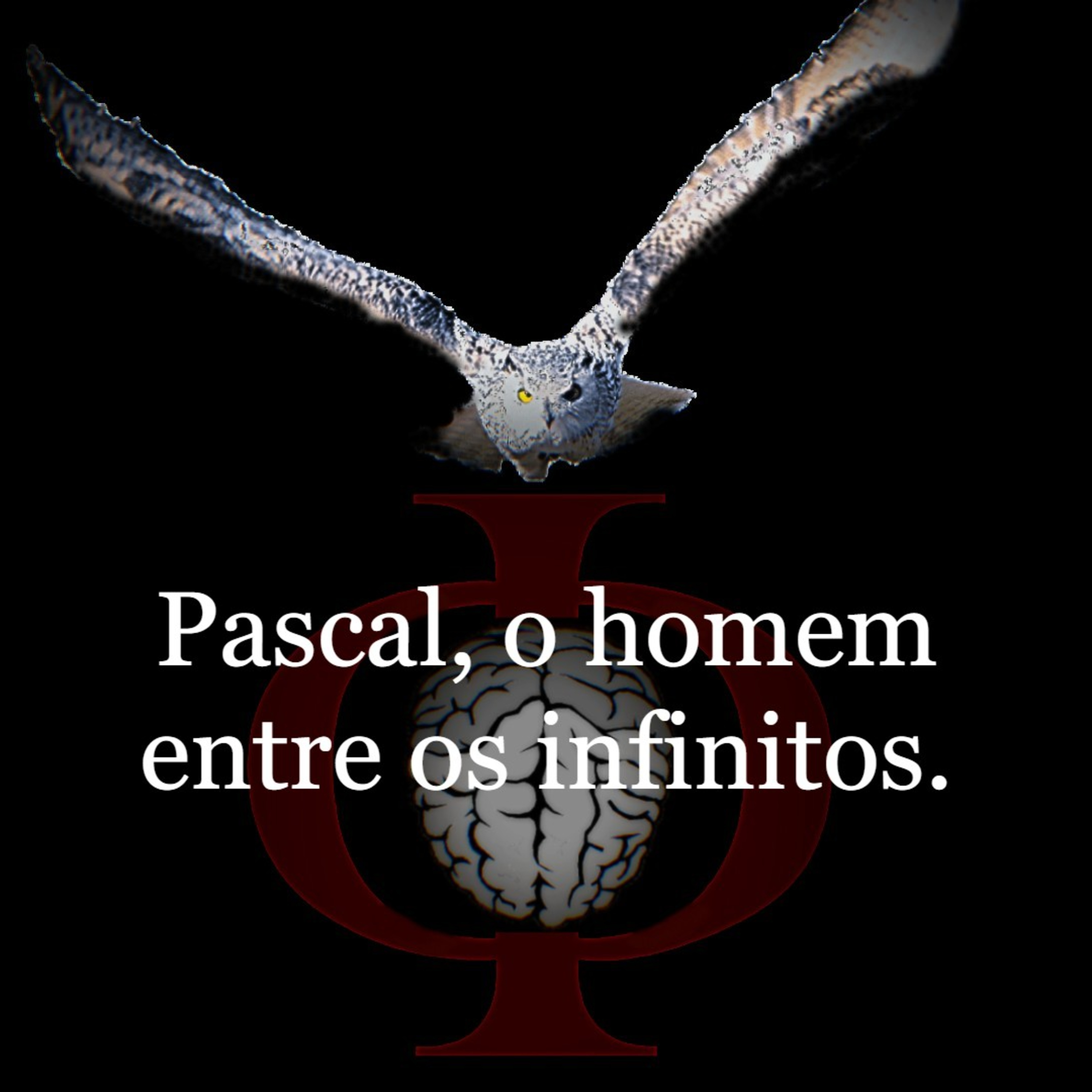 Das provocações à razão