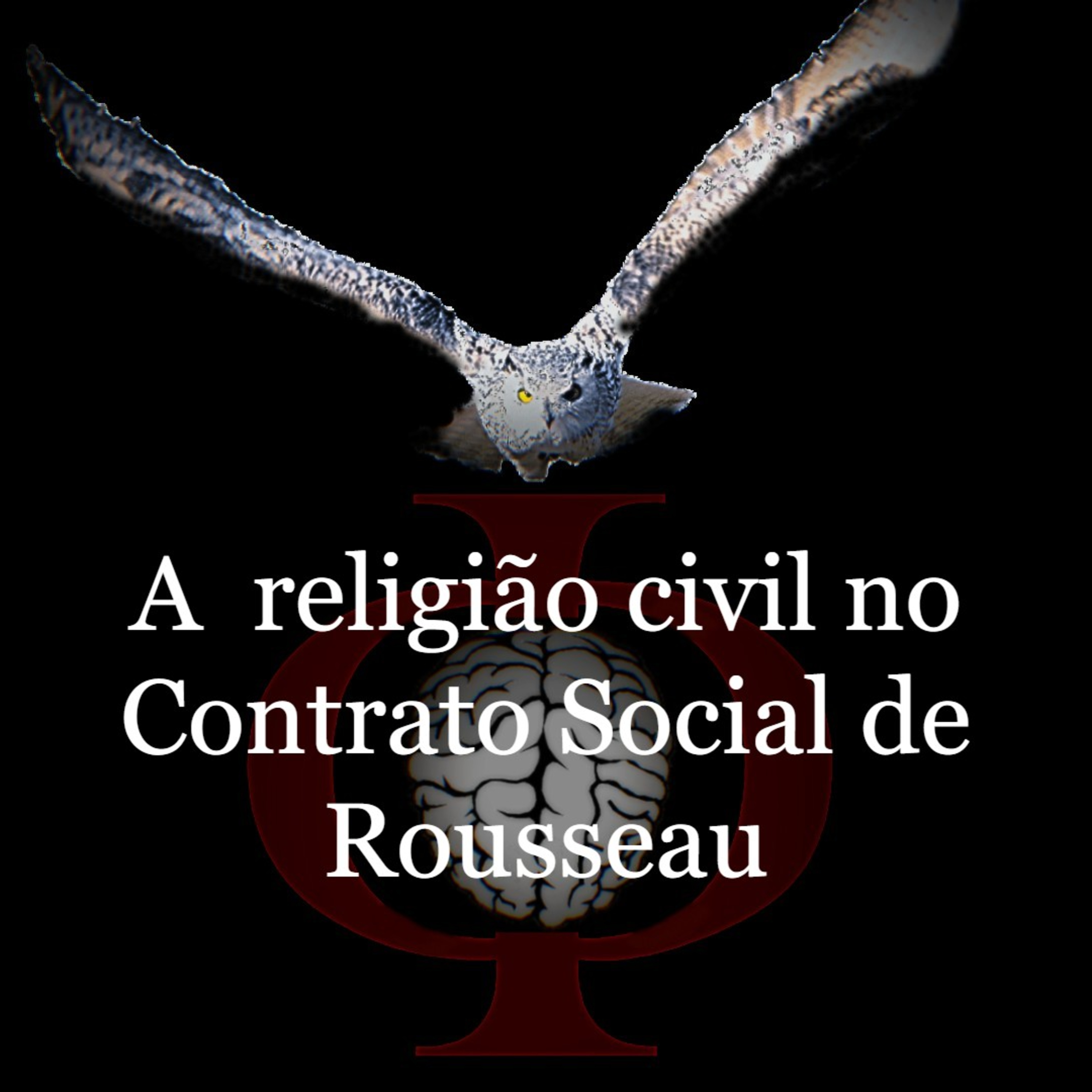 Das provocações à razão