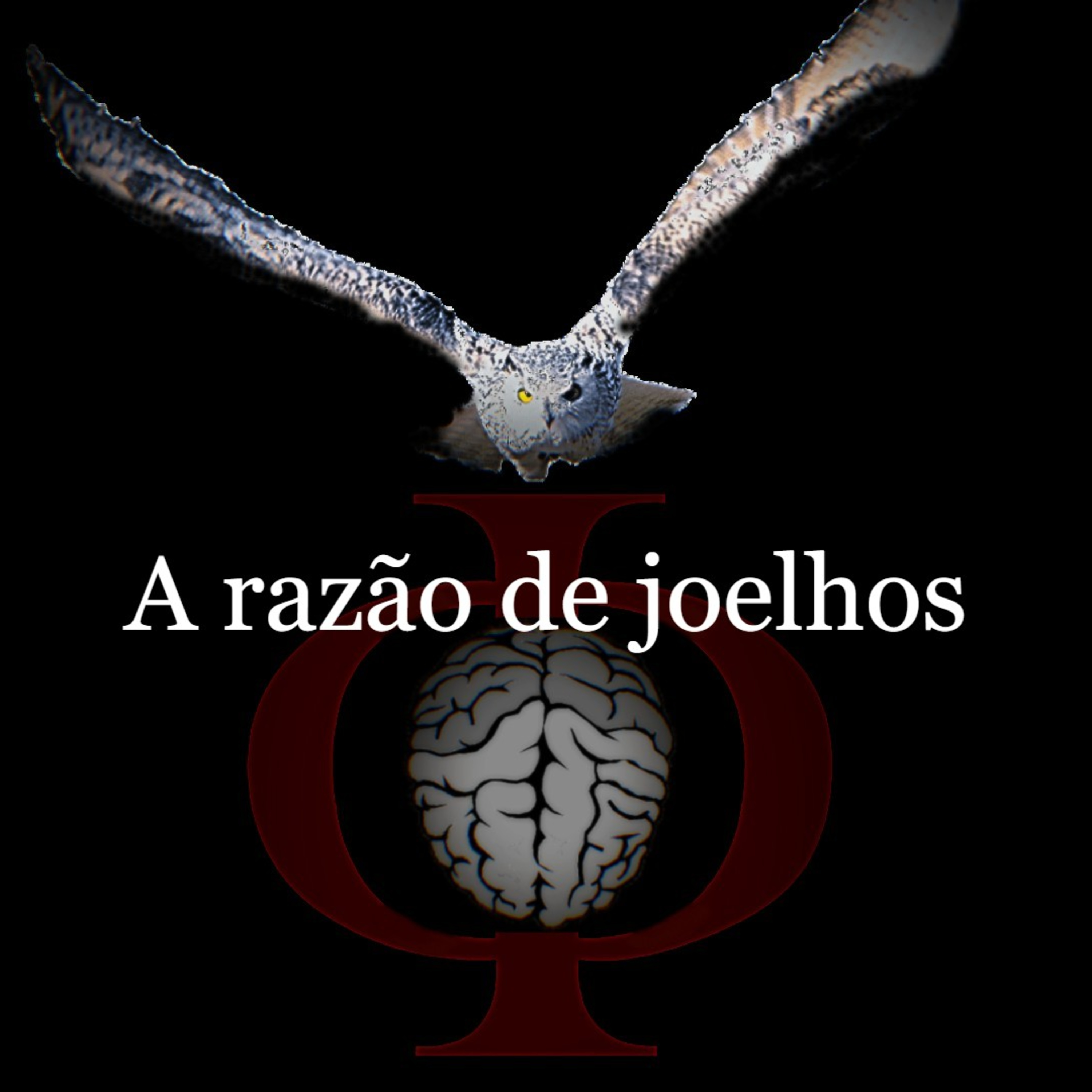 Das provocações à razão