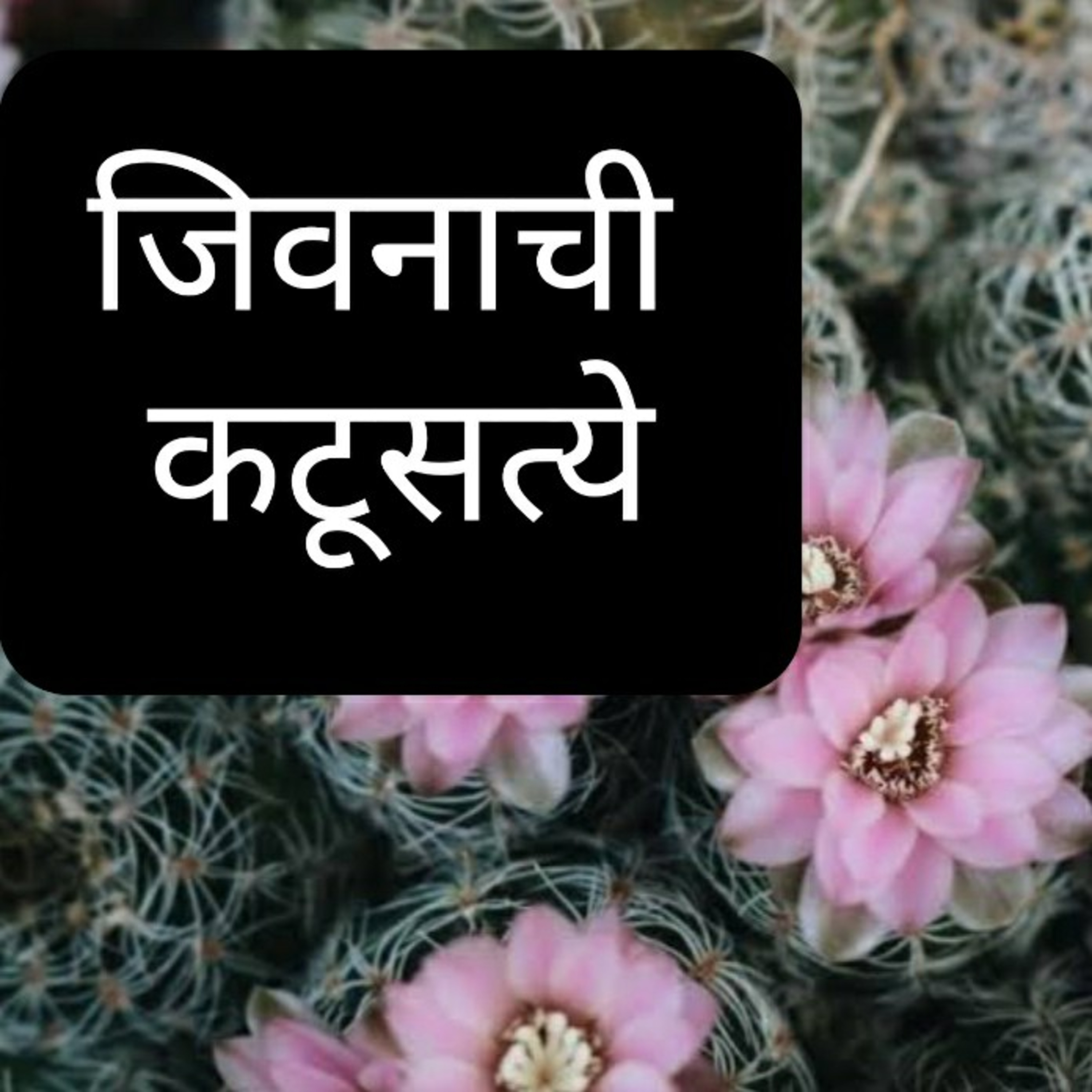 Magic Of Change - Snippets By Priti, Marathi