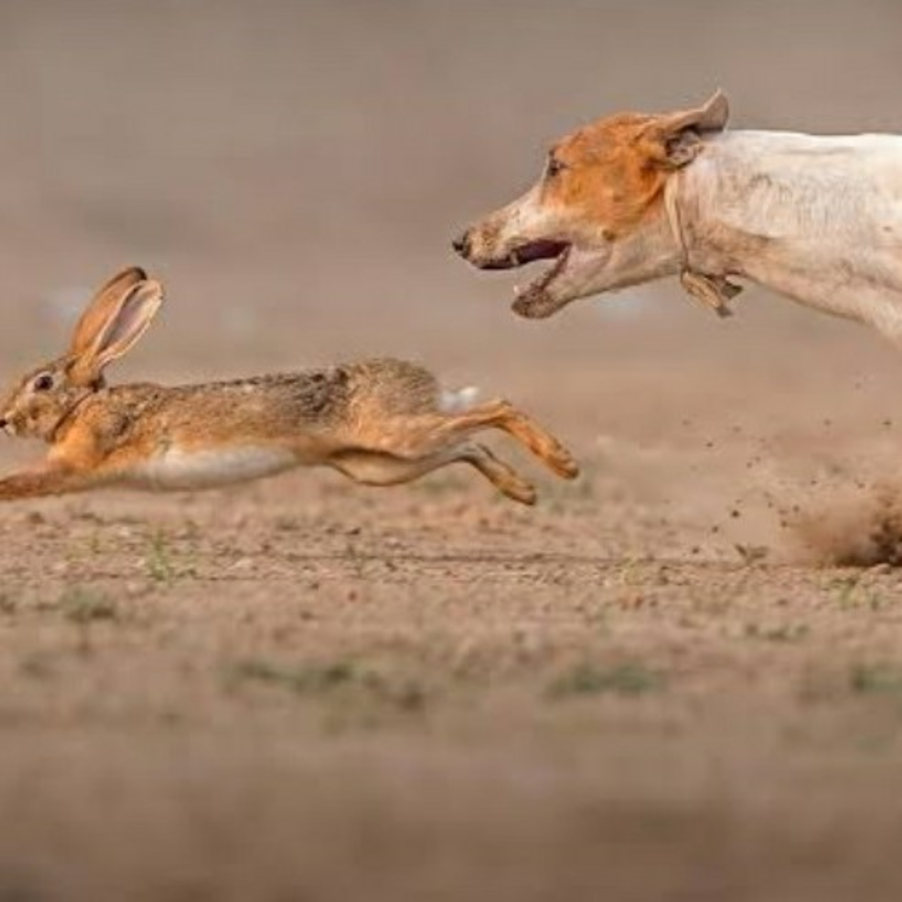 Magic Of Change - Snippets By Priti, Marathi