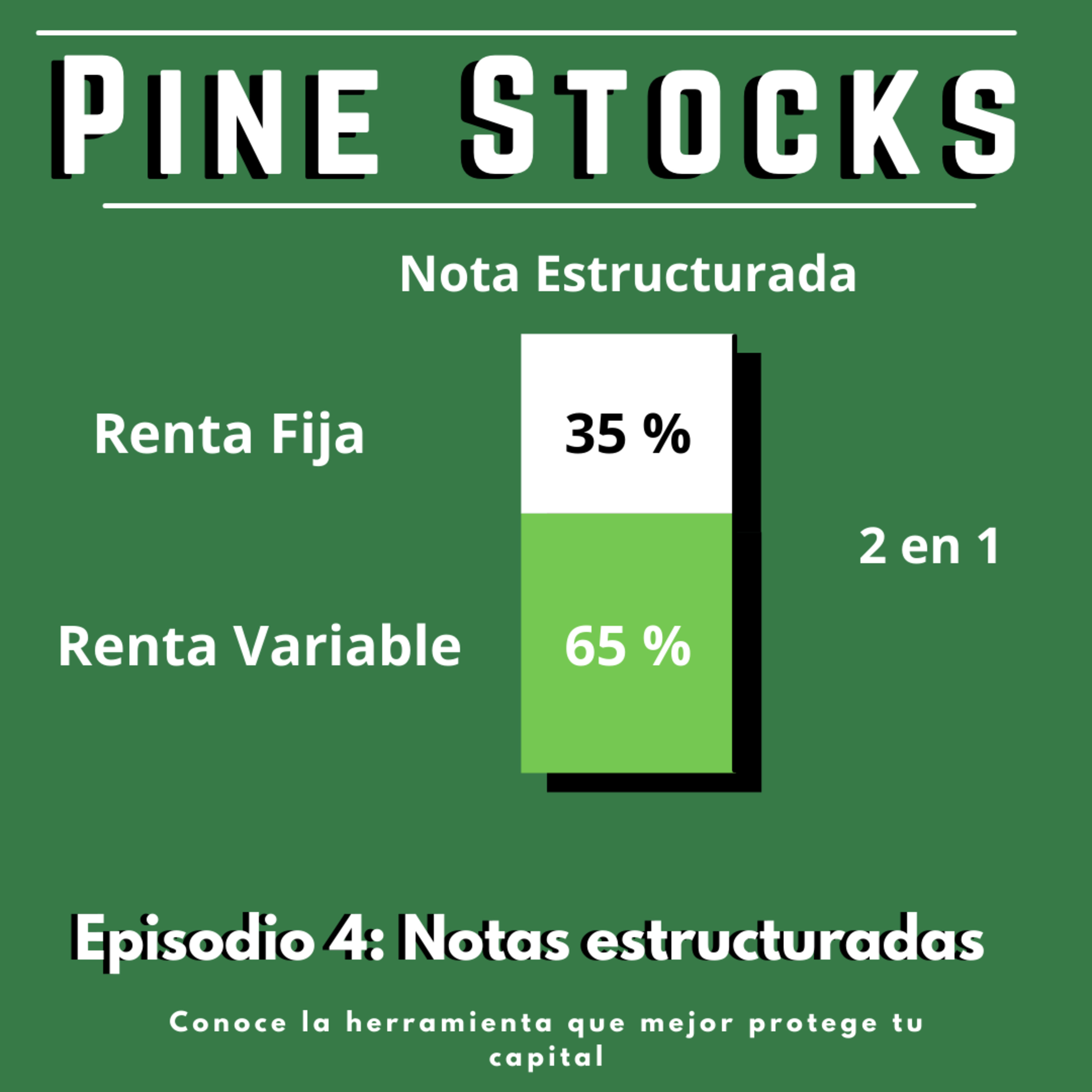 Pine Stocks