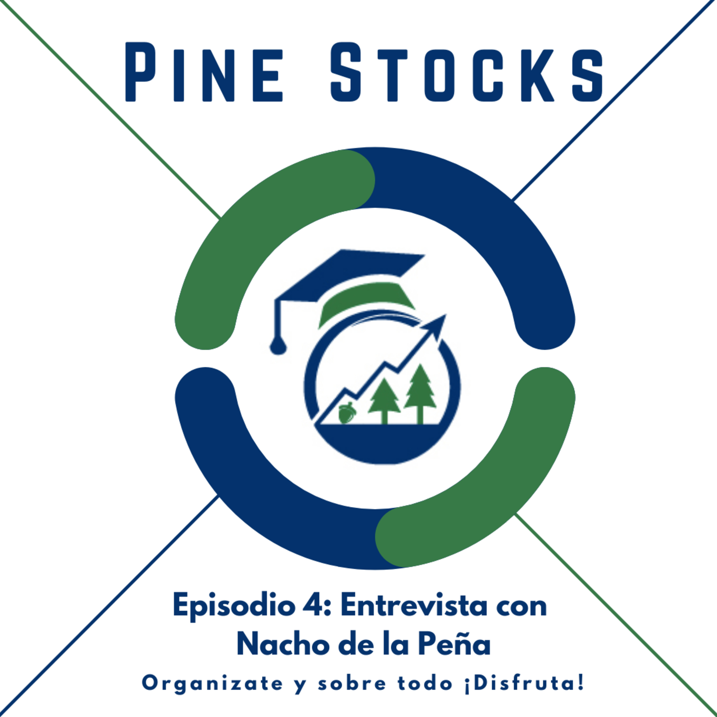 Pine Stocks