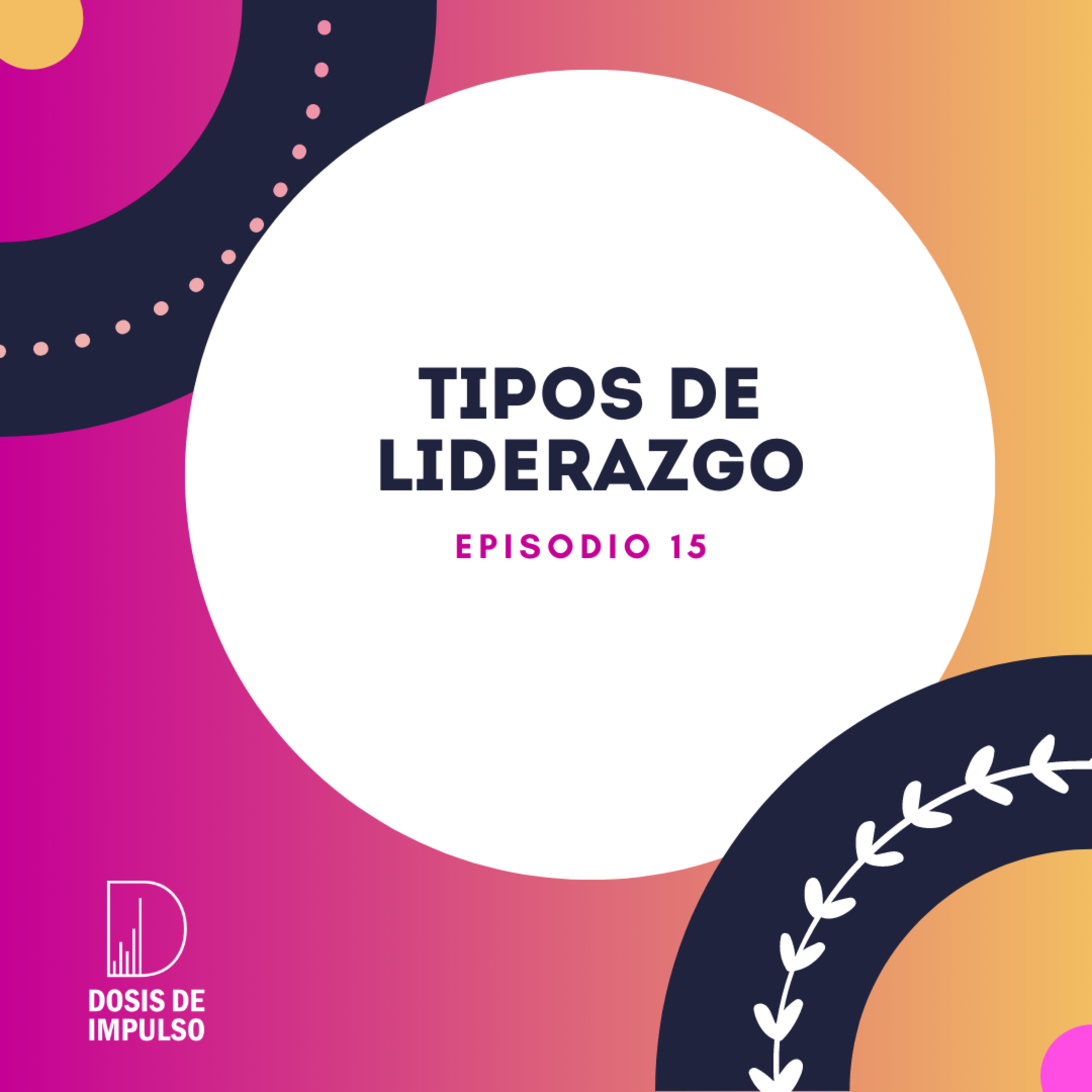 15. Tipos de liderazgo episode artwork