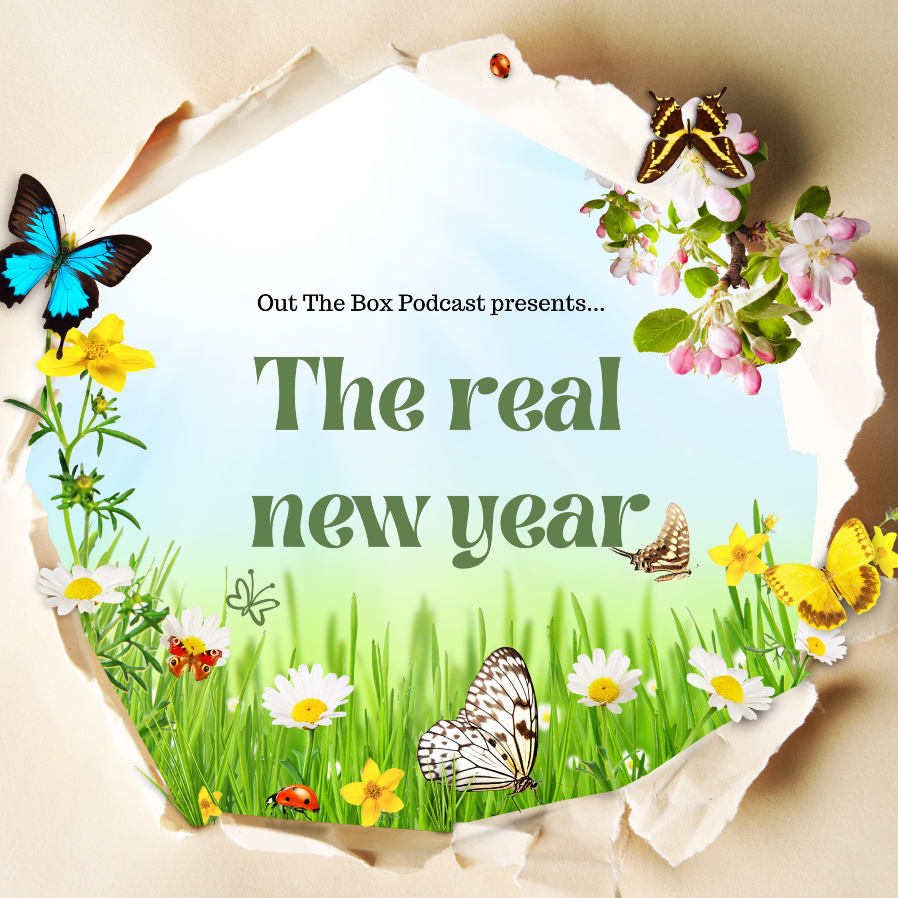 The Real New Year episode artwork
